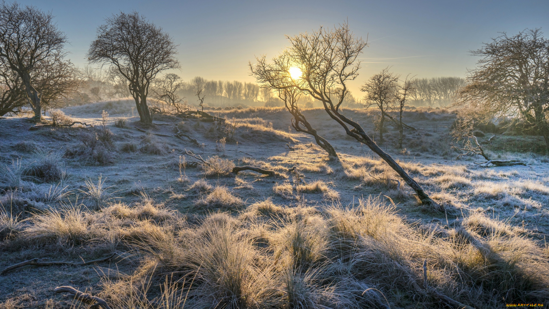 природа, восходы, закаты, простор