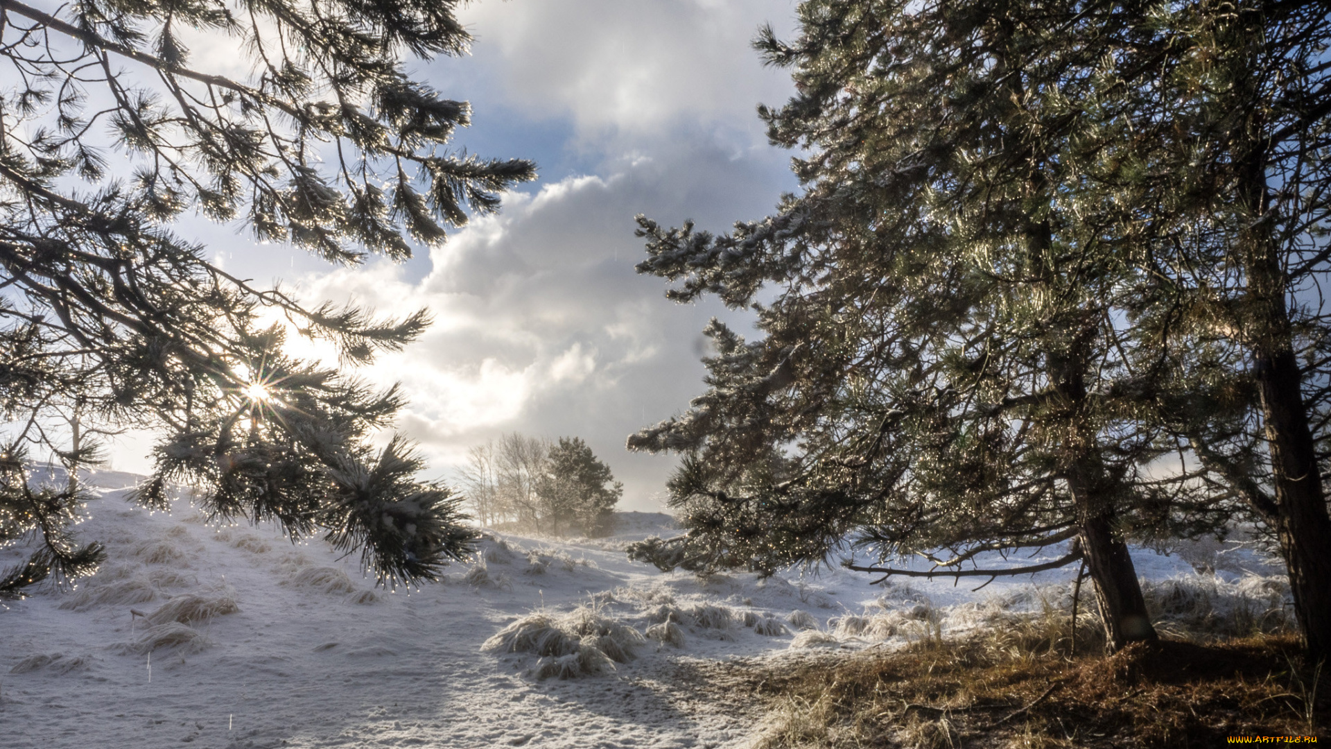 природа, зима, простор