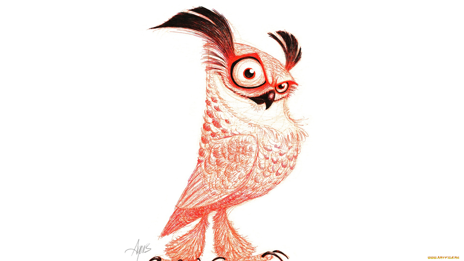 рисованное, минимализм, pose, piercing, look, drawing, owl