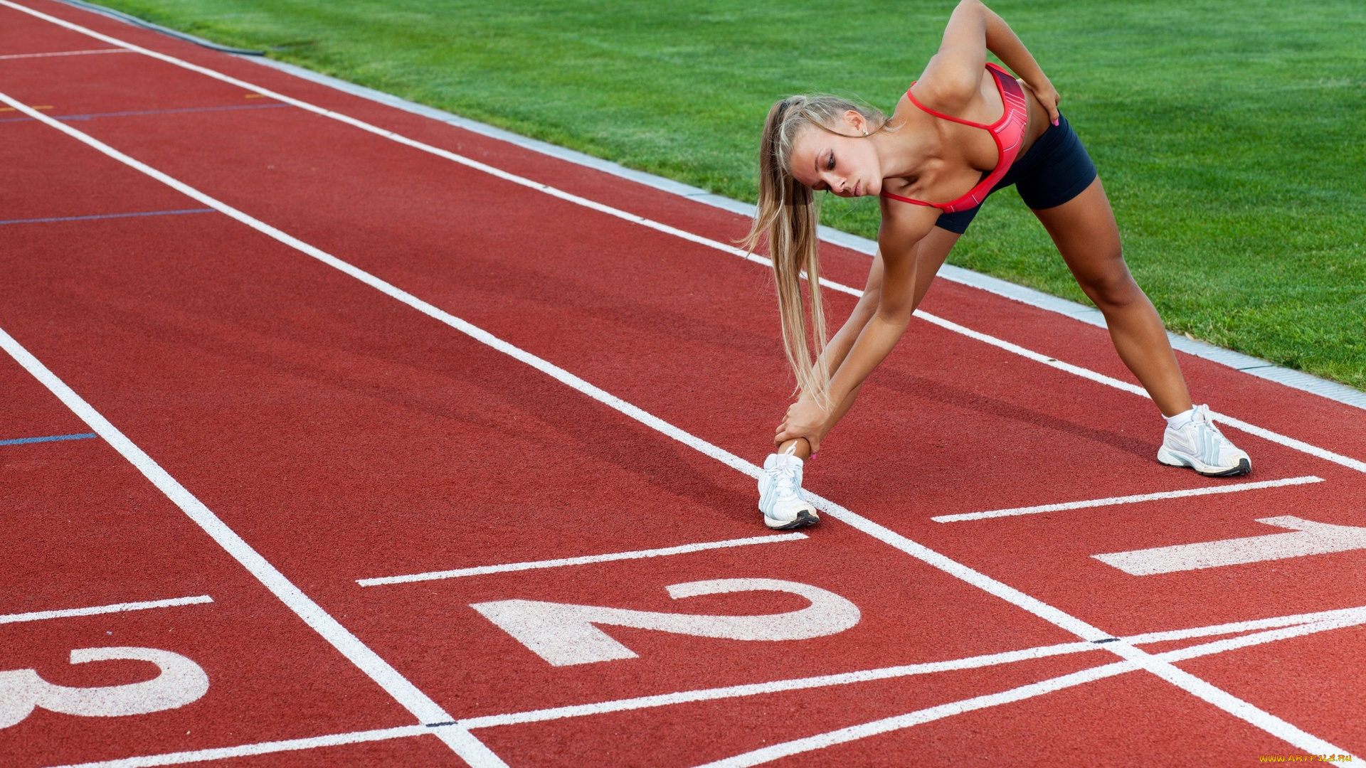 спорт, гимнастика, разминка, стадион, девушка