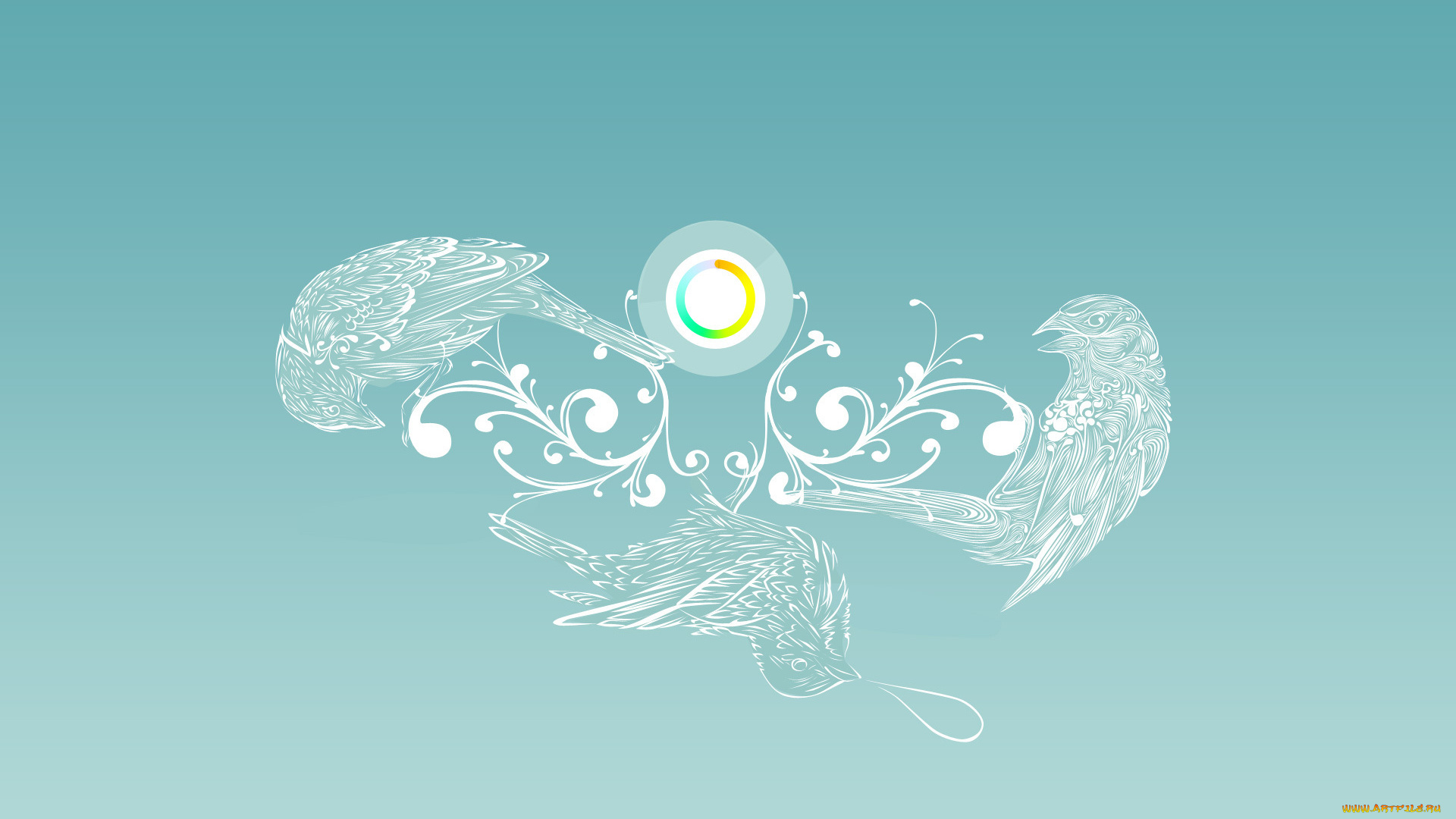 векторная, графика, птицы, , птицы, фон, птица