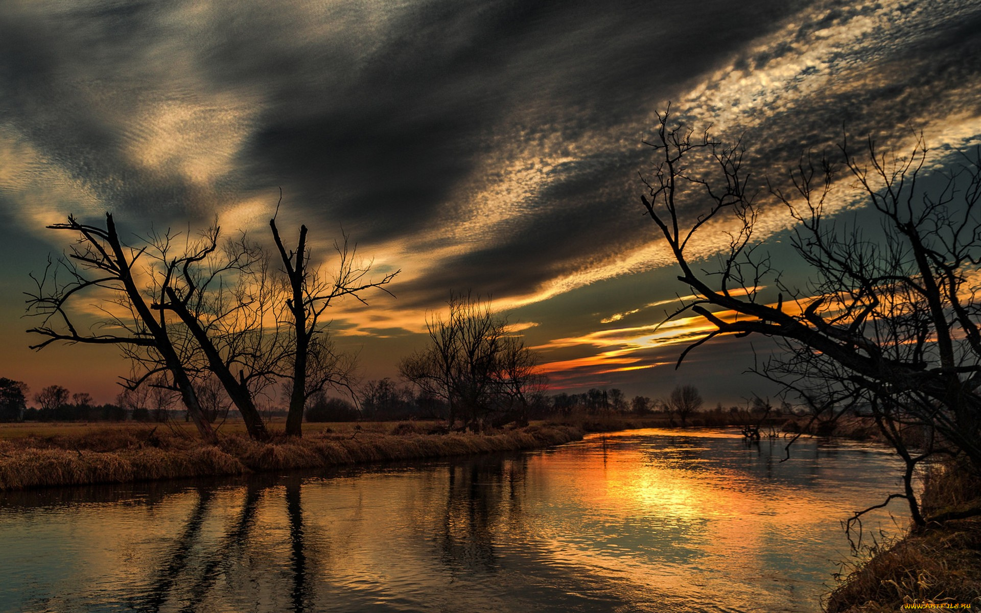 природа, реки, озера, простор