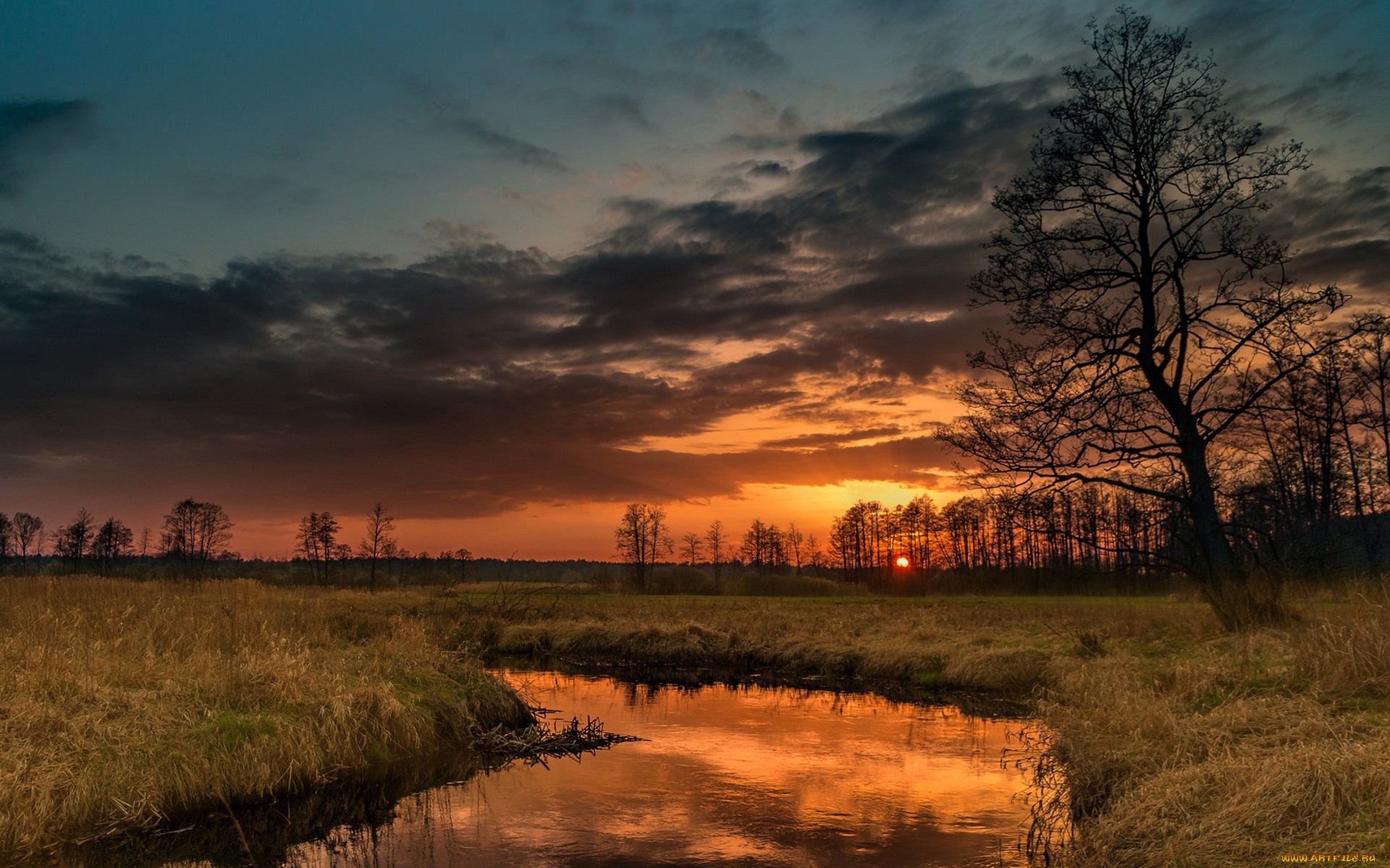 природа, восходы, закаты, простор