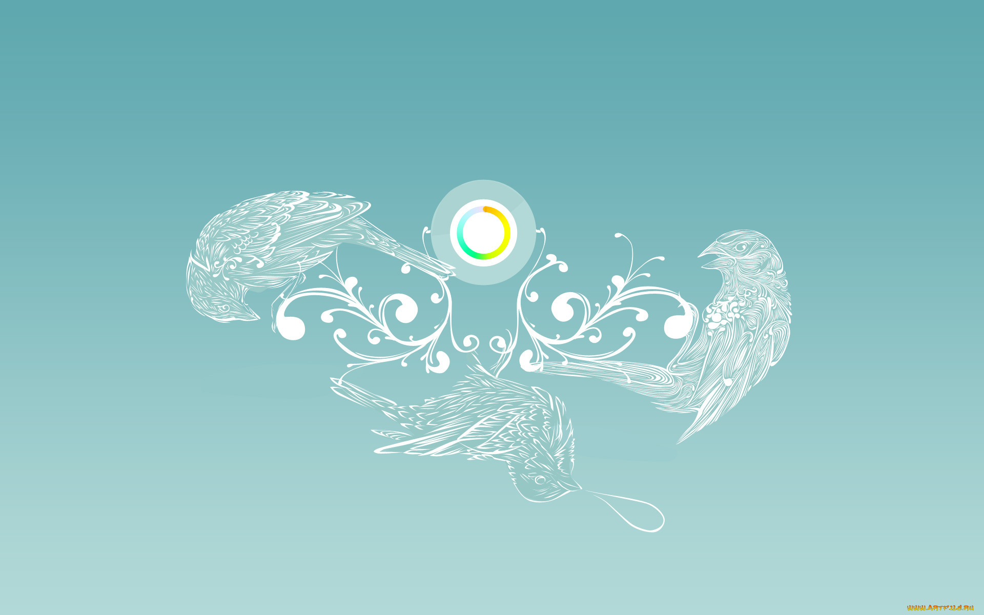 векторная, графика, птицы, , птицы, фон, птица