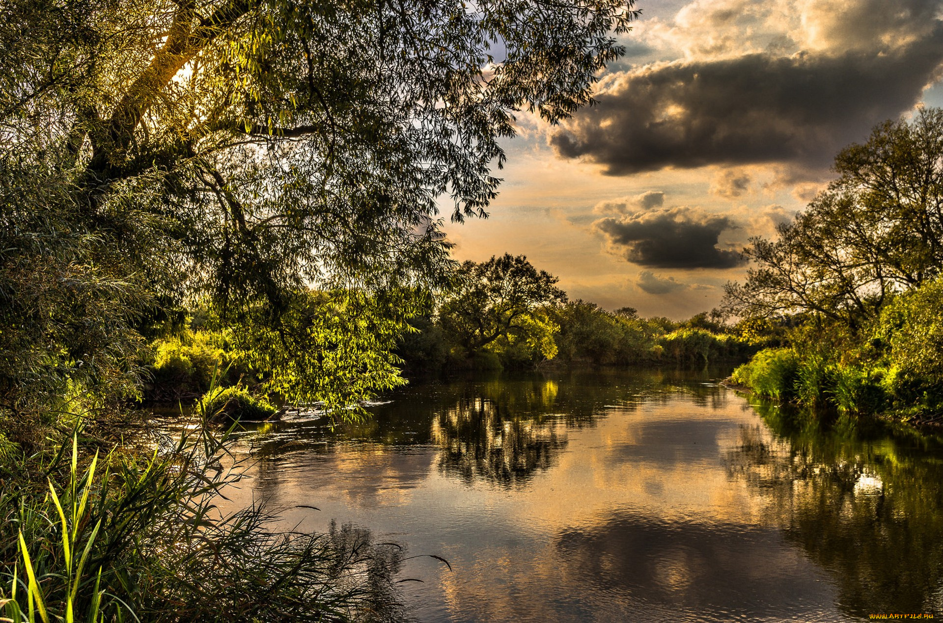 природа, реки, озера, простор