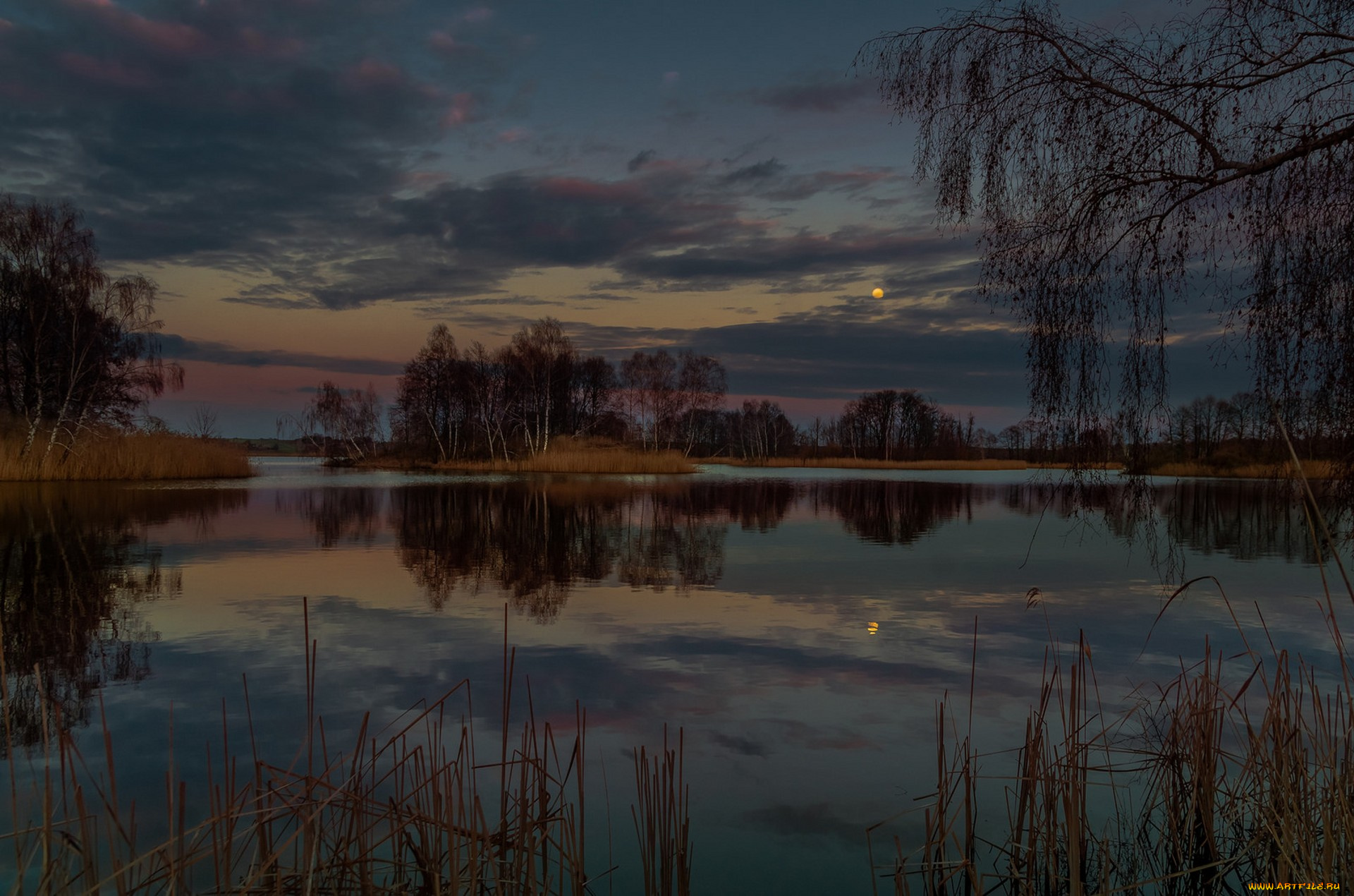 природа, реки, озера, простор