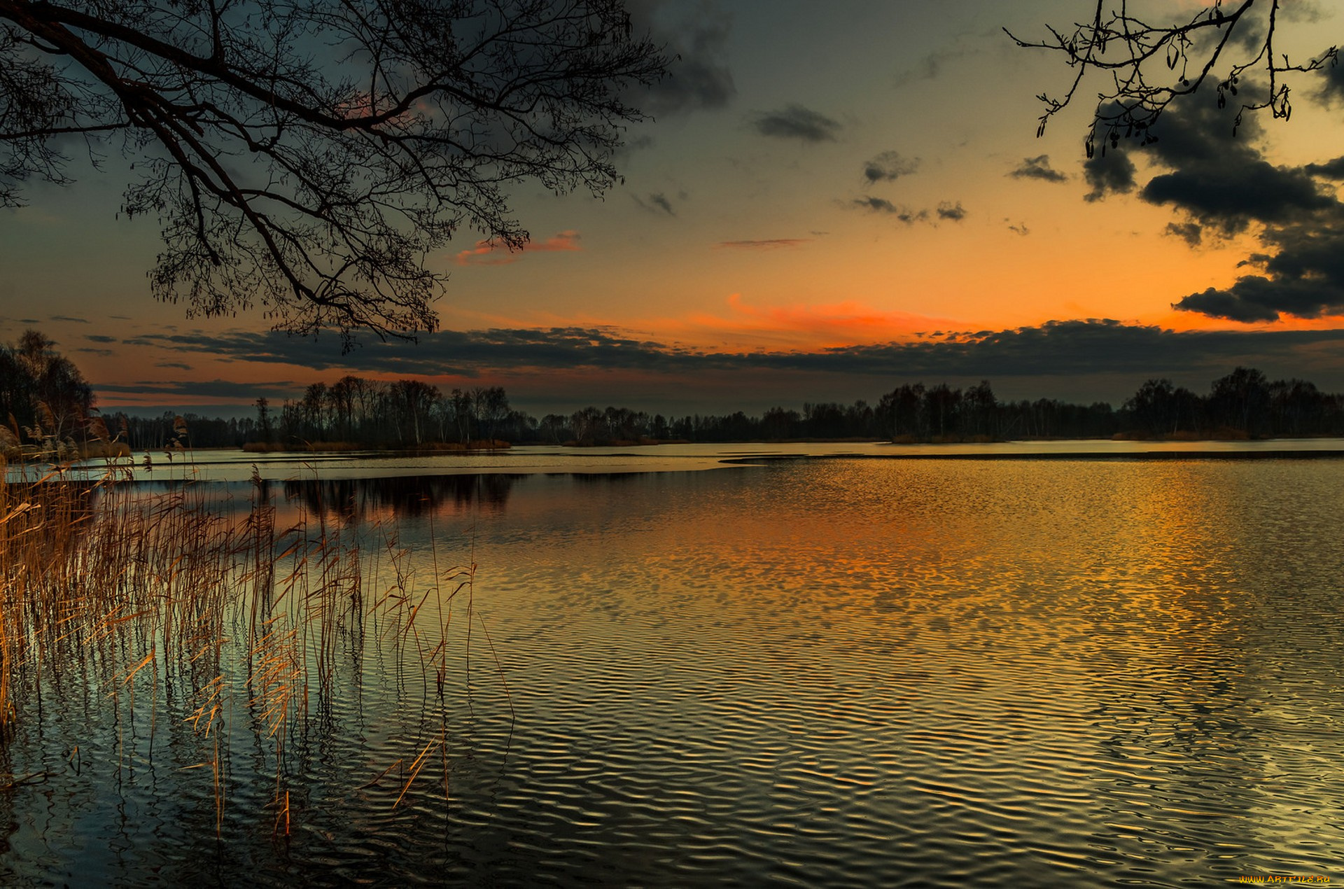 природа, реки, озера, простор