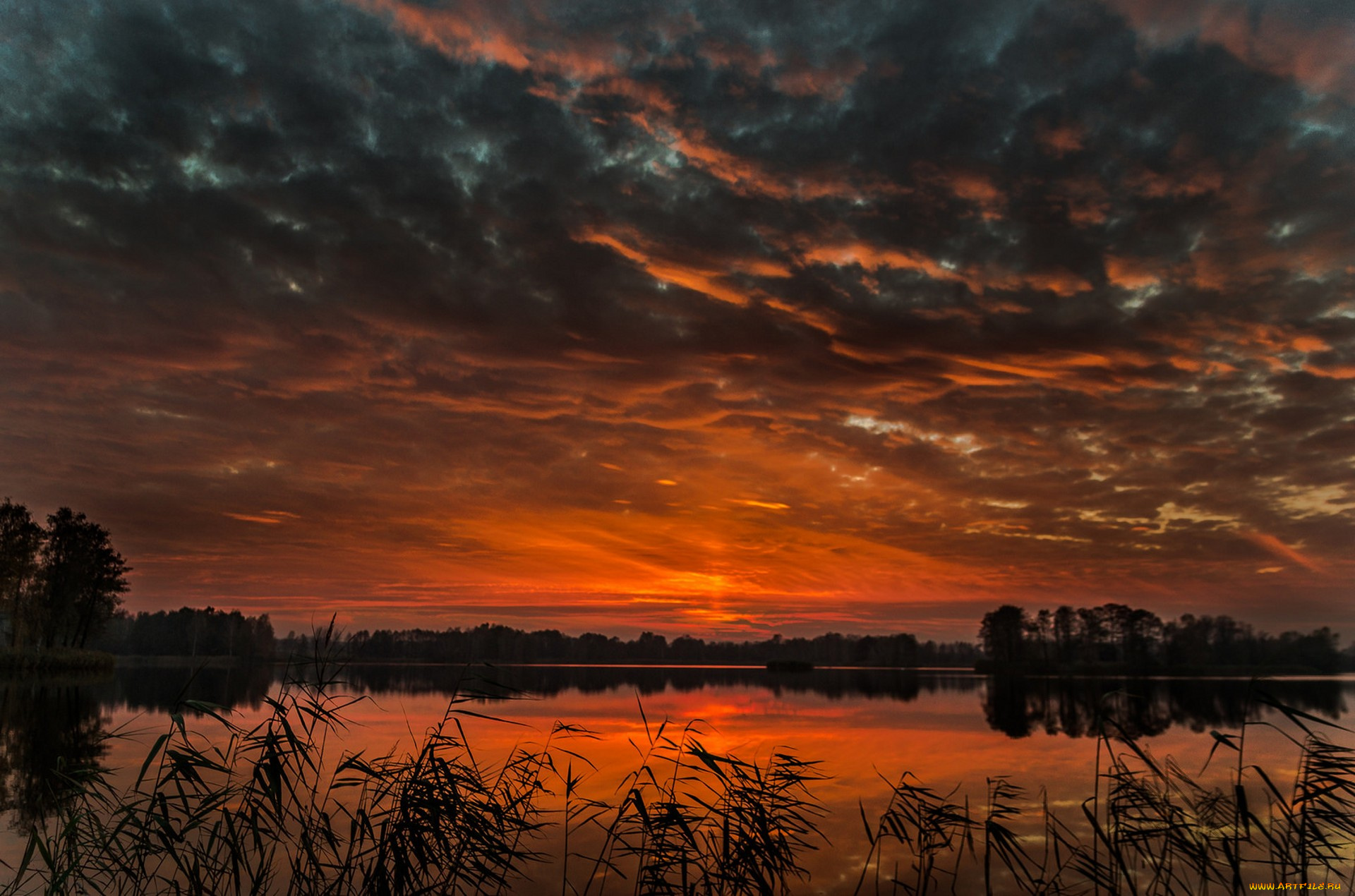 природа, восходы, закаты, простор