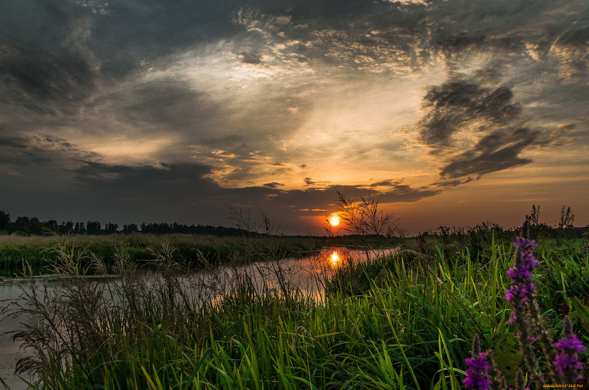 природа, реки, озера, простор