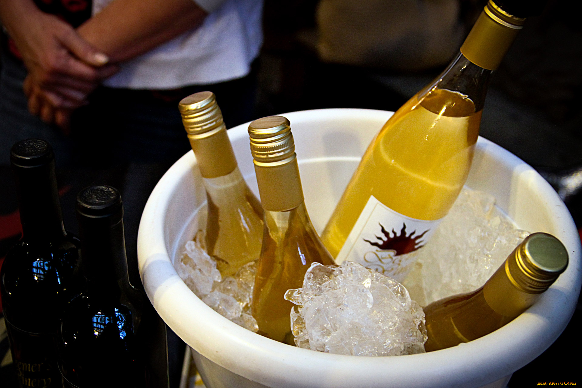 еда, напитки, , вино, лед, белое, вино, бутылки