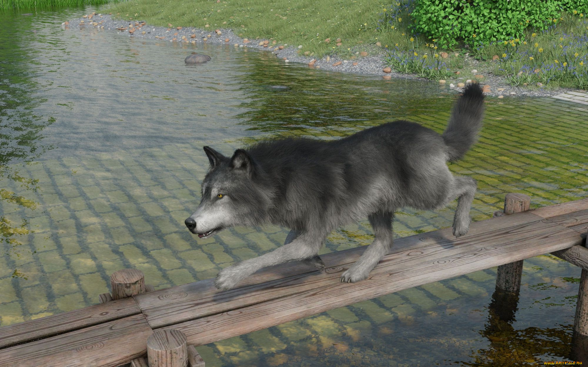 3д, графика, животные, , animals, волк