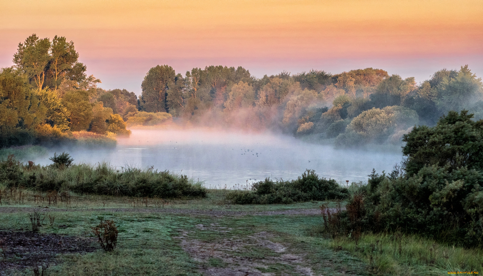 природа, пейзажи, простор