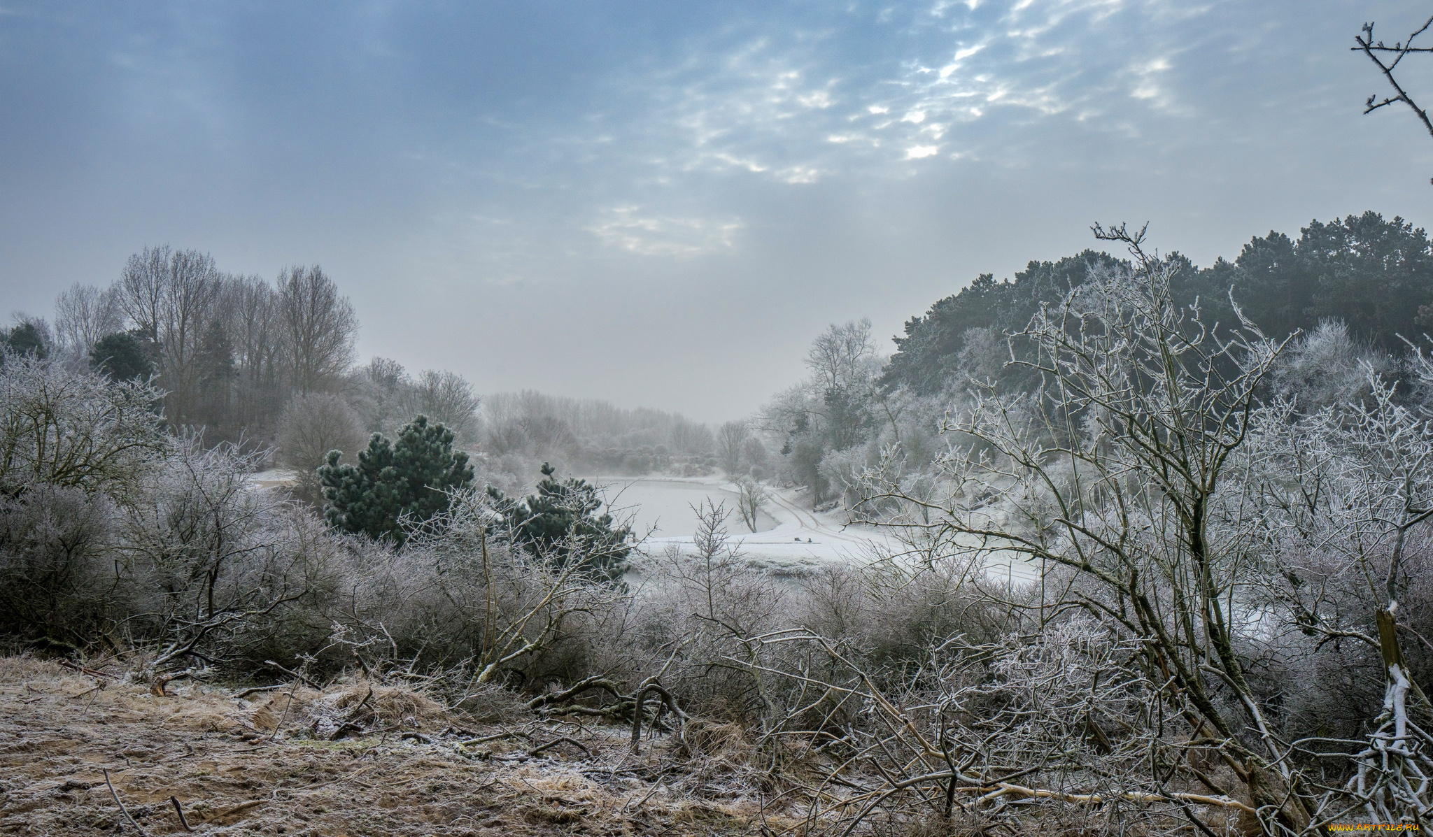 природа, пейзажи, простор