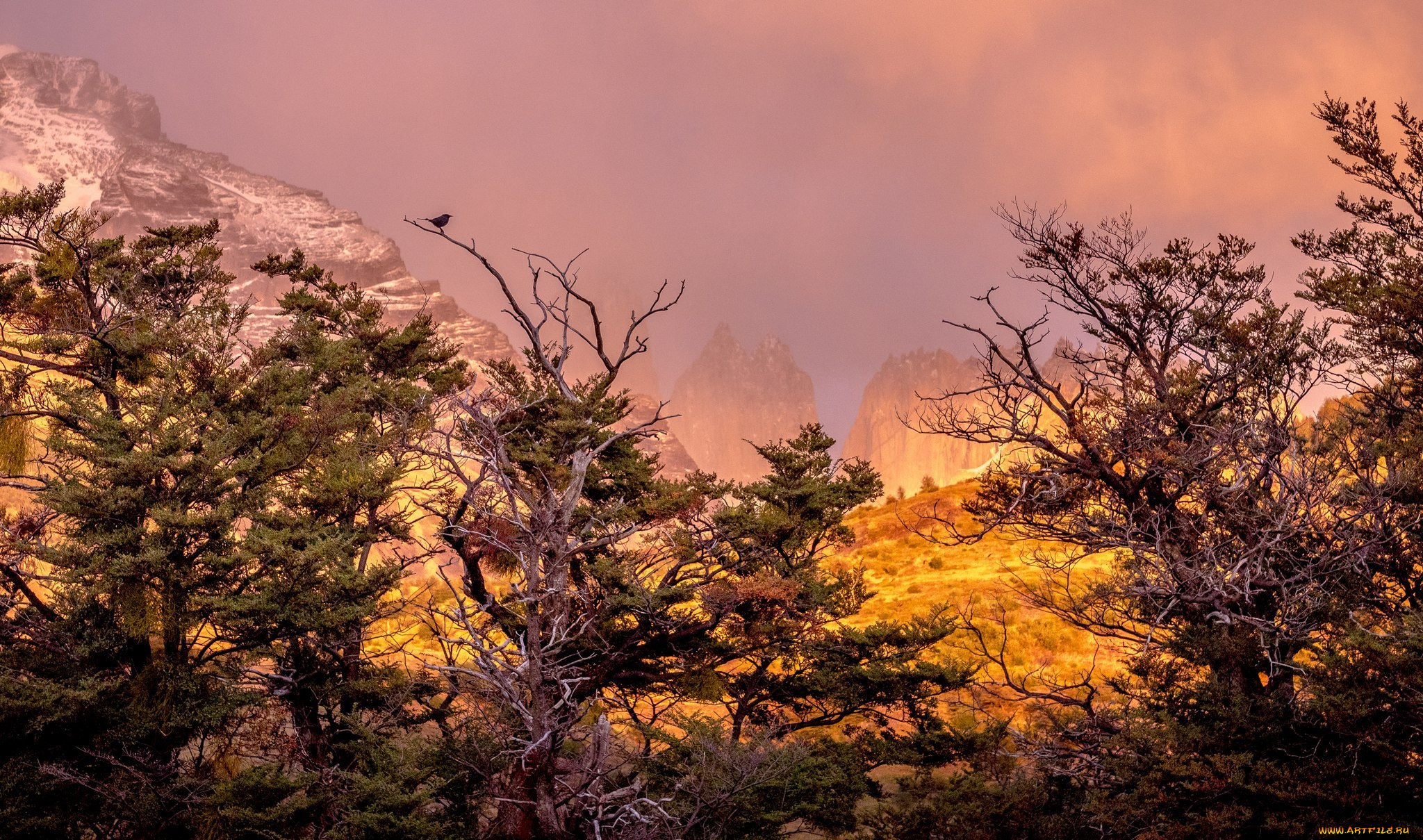 природа, восходы, закаты, простор