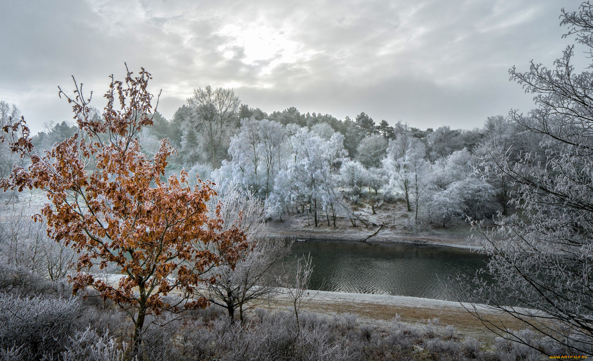 природа, пейзажи, простор