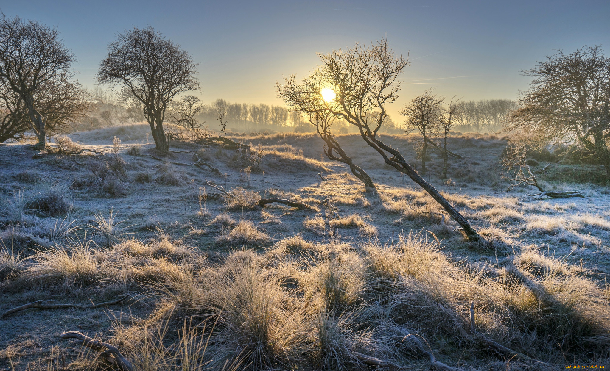 природа, восходы, закаты, простор