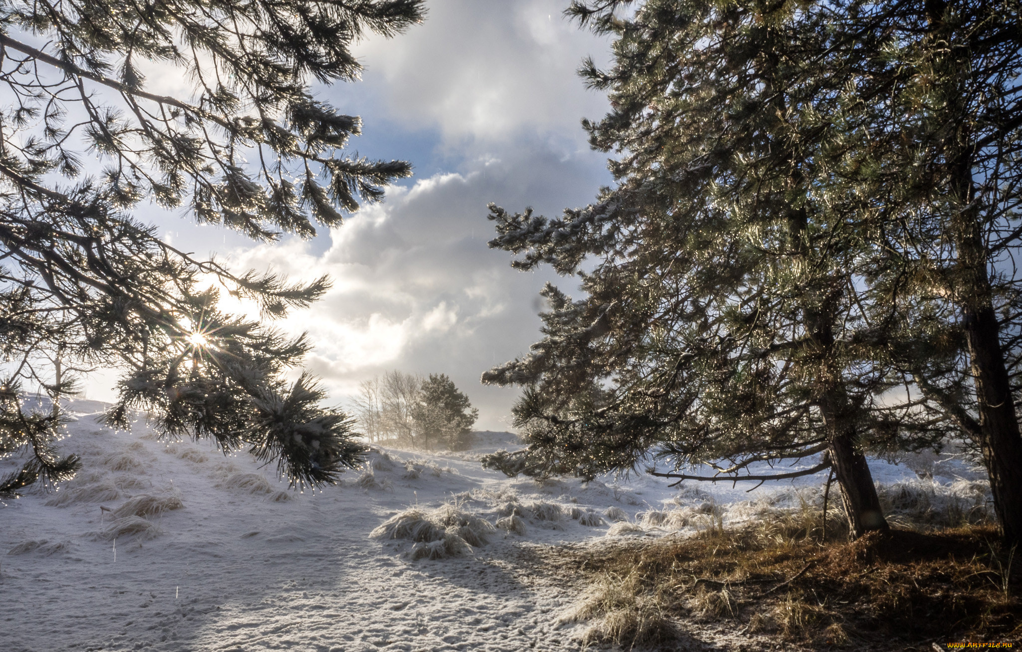 природа, зима, простор