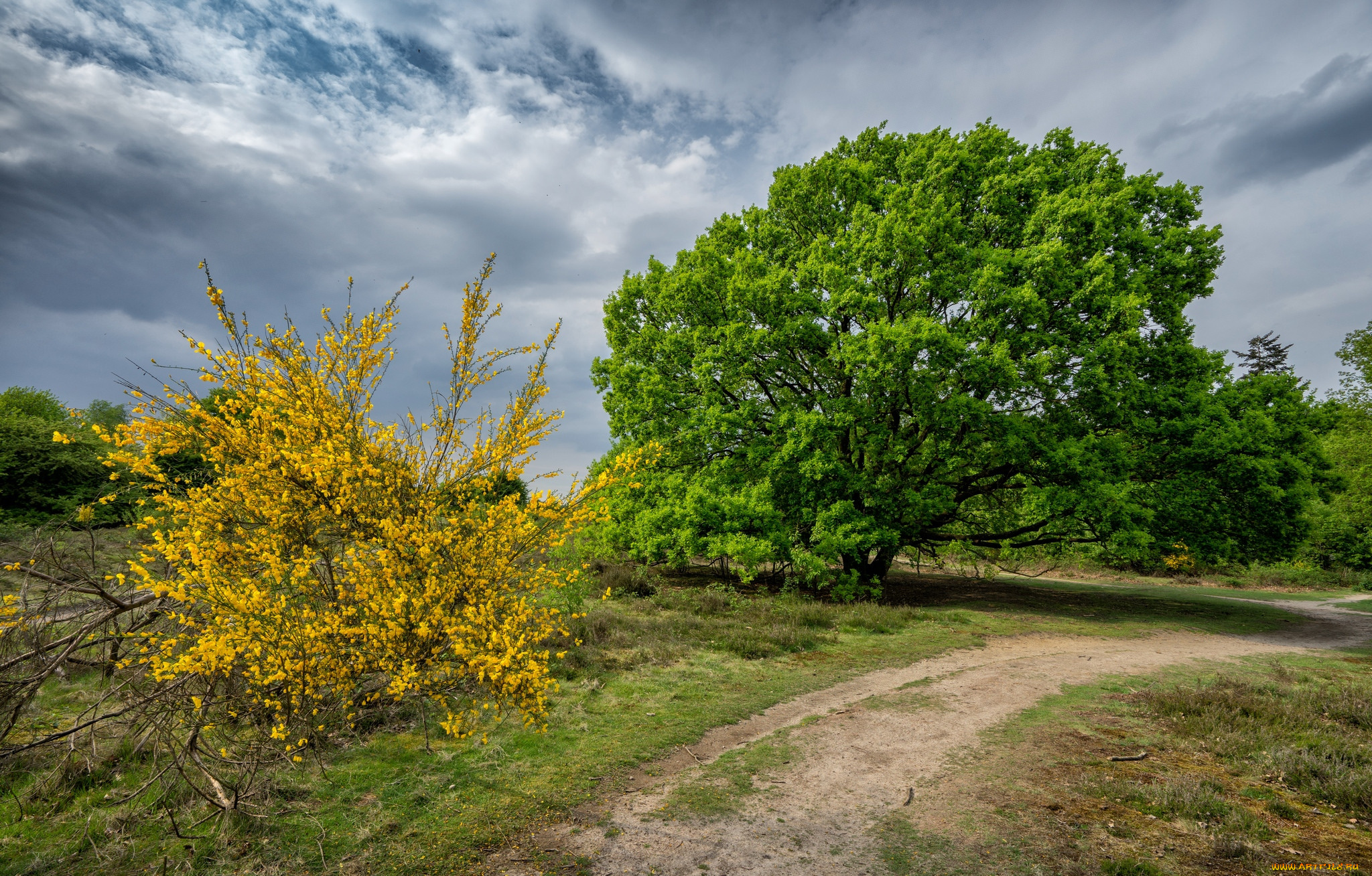 природа, дороги, простор