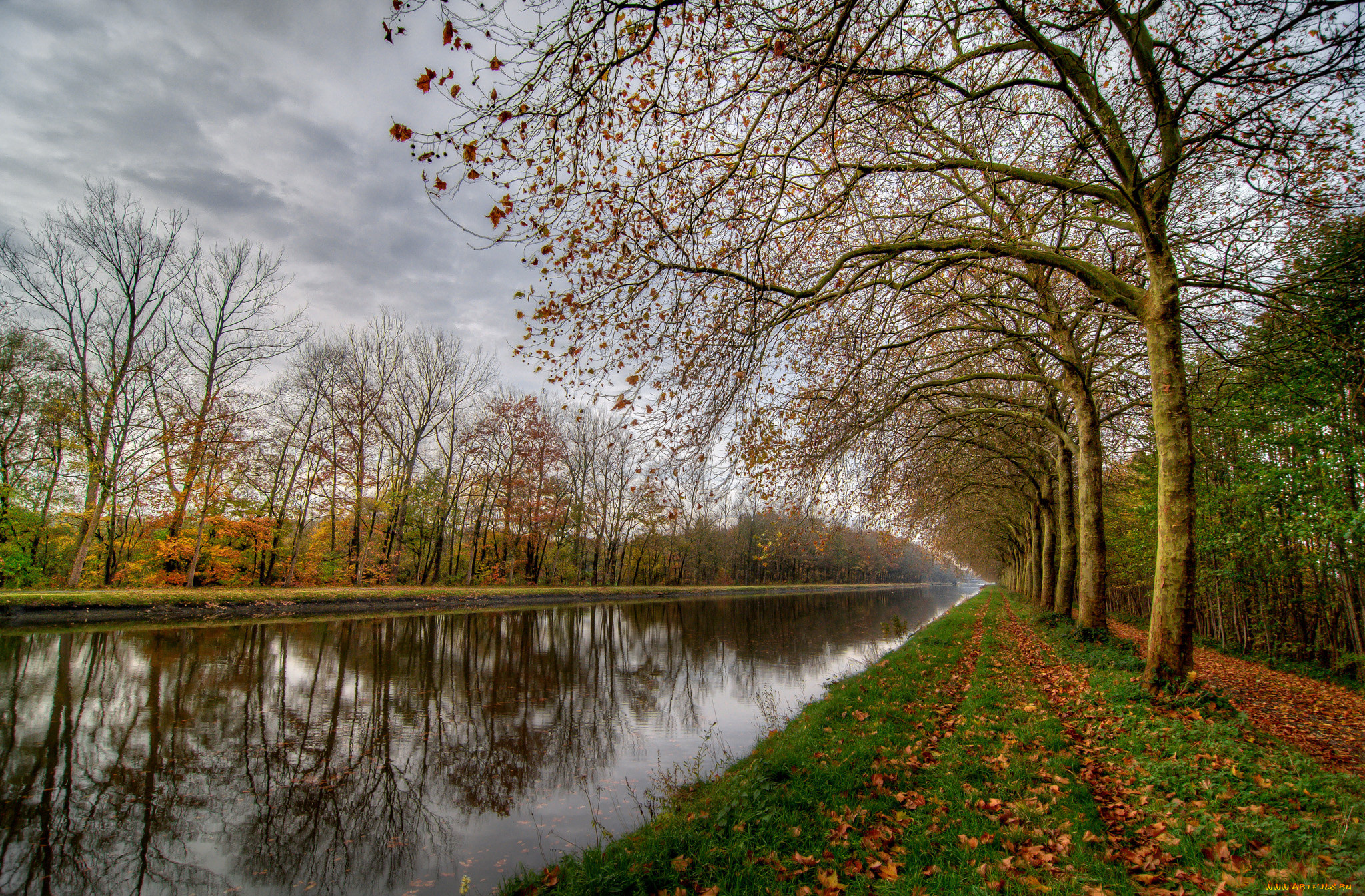 природа, реки, озера, простор