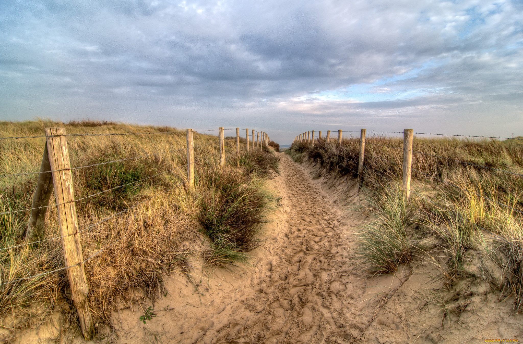 природа, дороги, простор