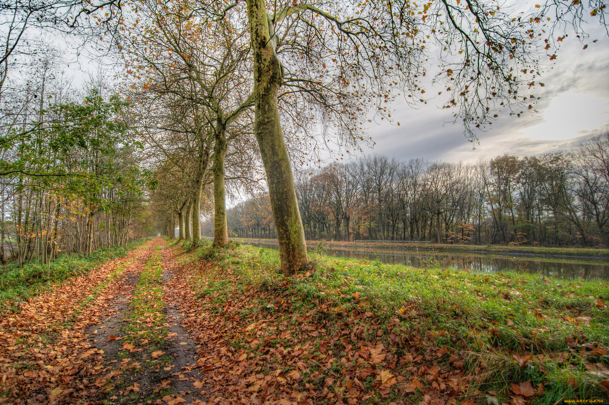 природа, пейзажи, простор