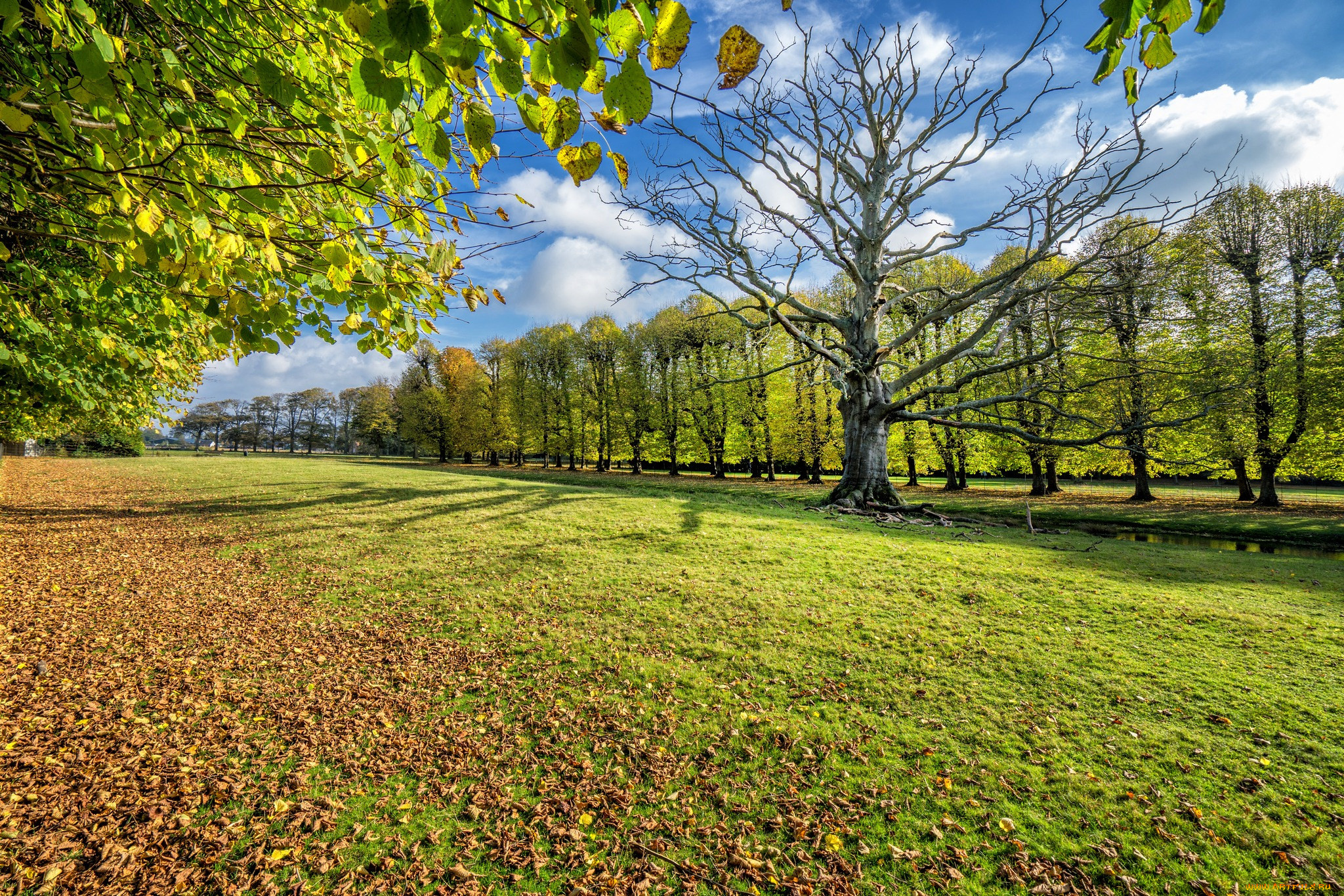 природа, пейзажи, простор