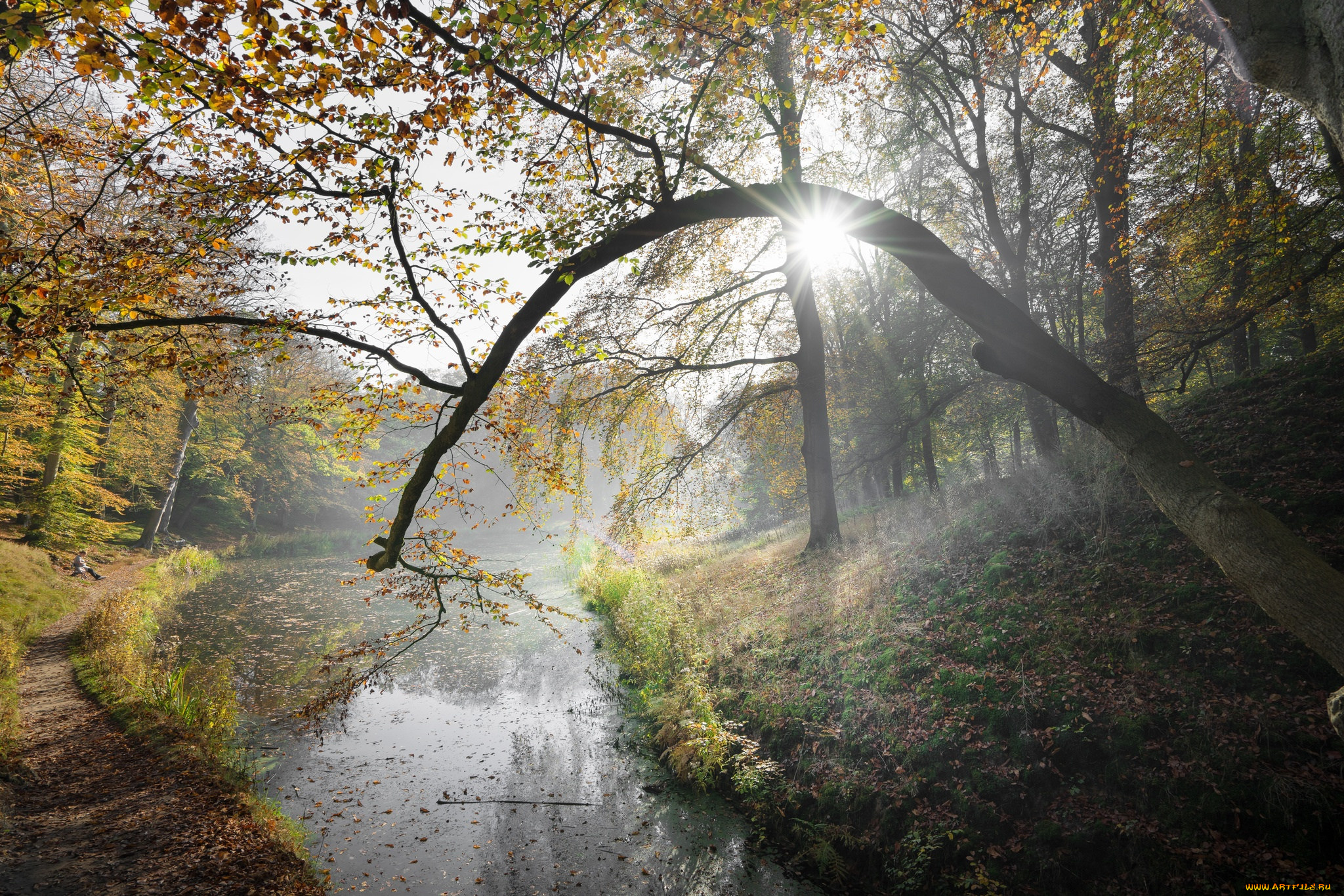 природа, реки, озера, простор