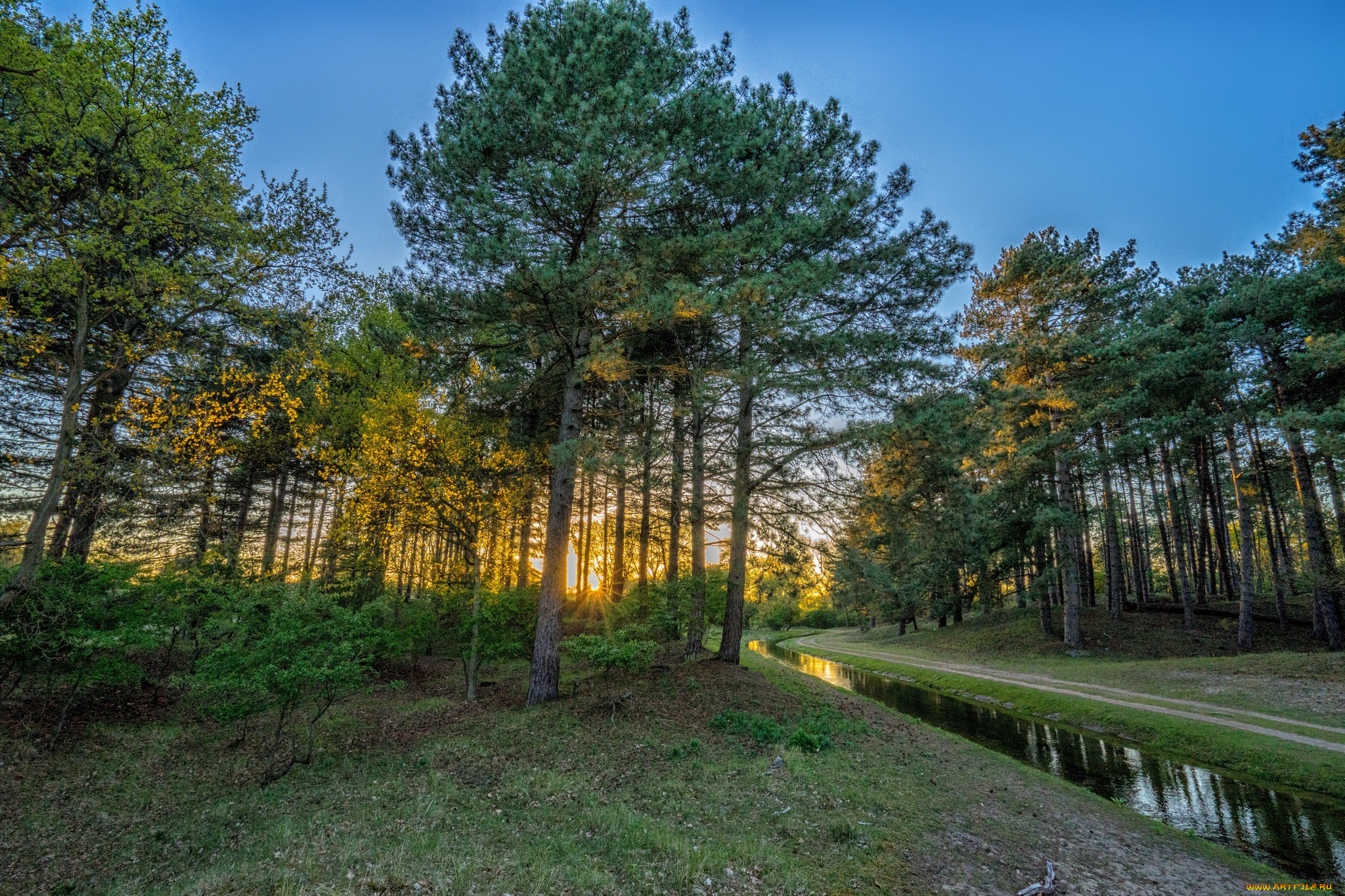 природа, реки, озера, простор