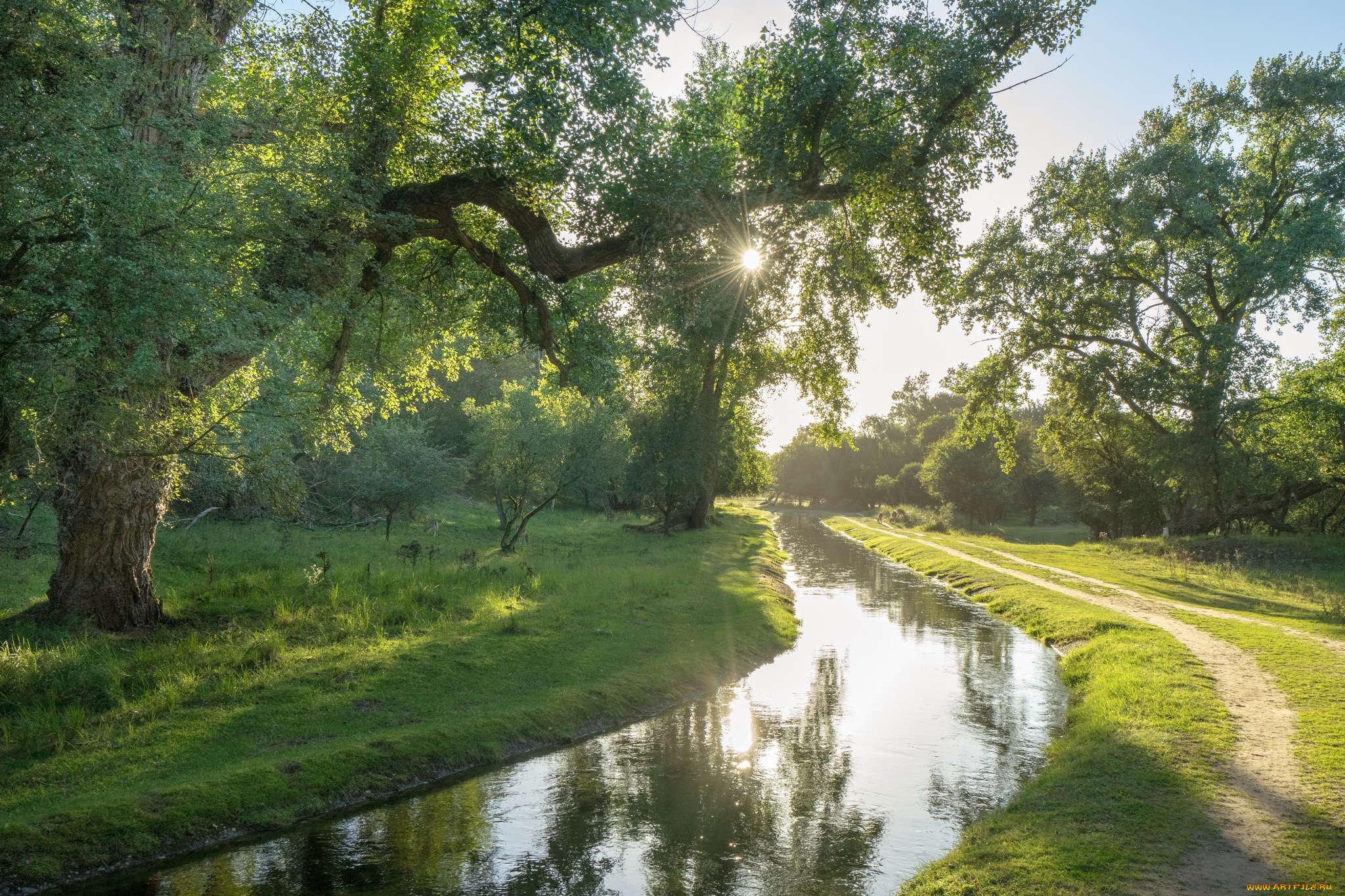 природа, реки, озера, простор