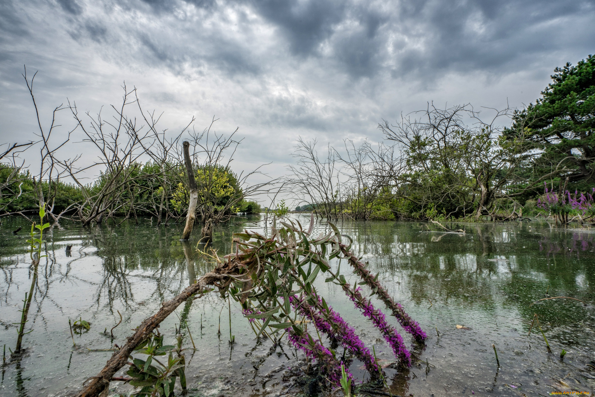 природа, реки, озера, простор