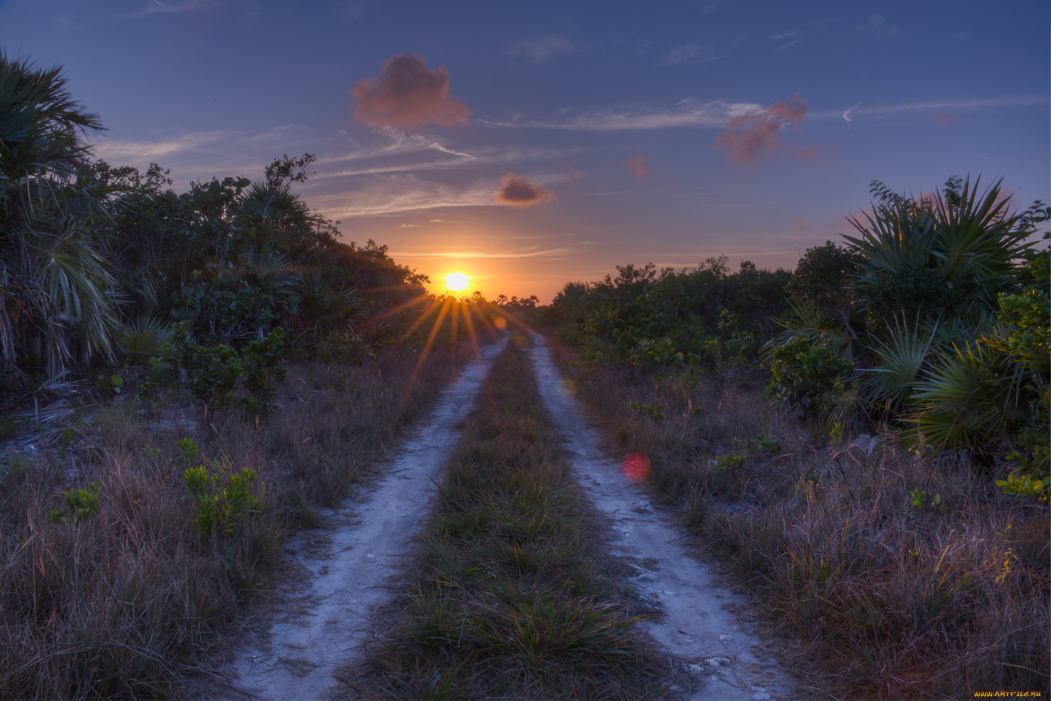 природа, дороги, простор