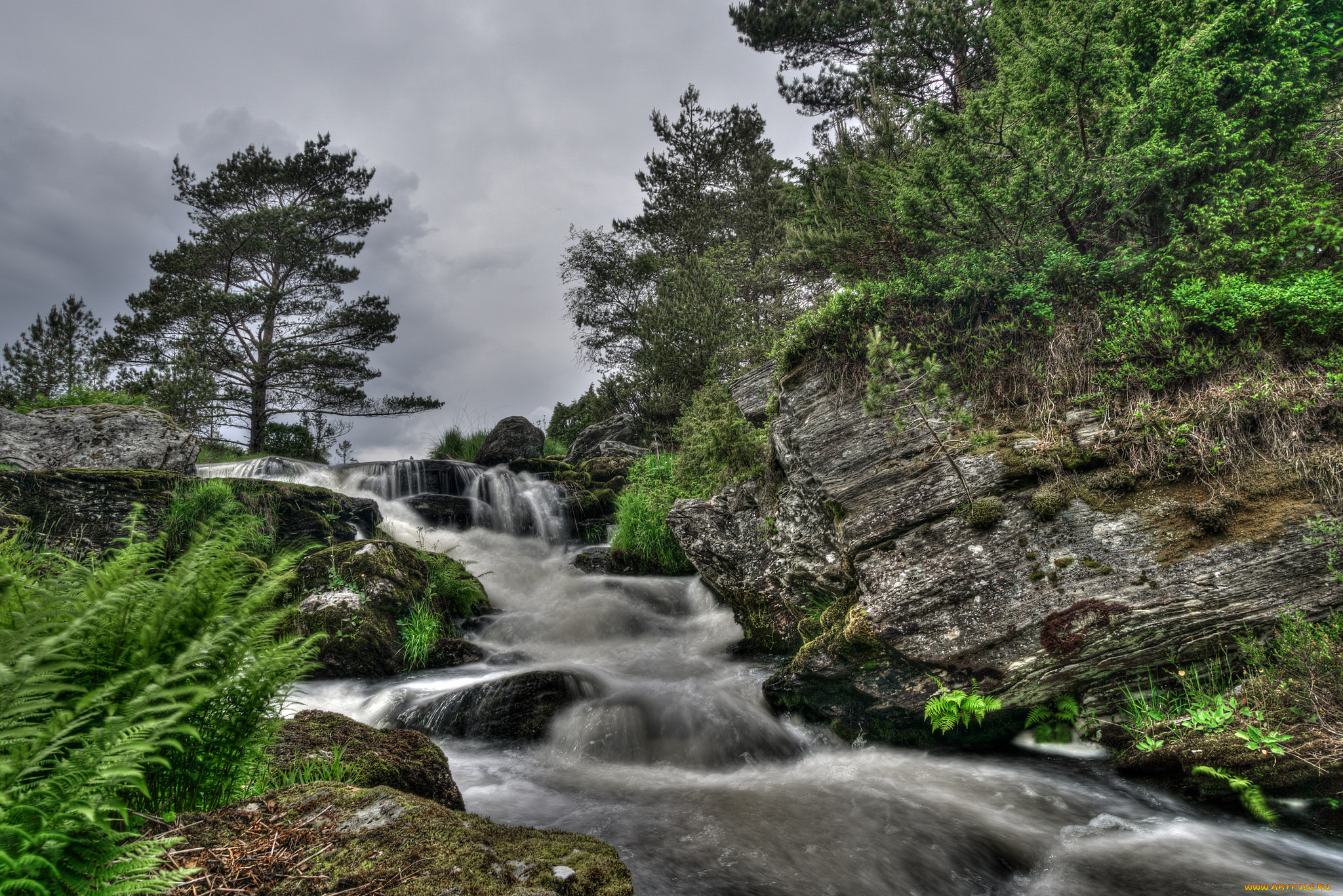 природа, реки, озера, простор