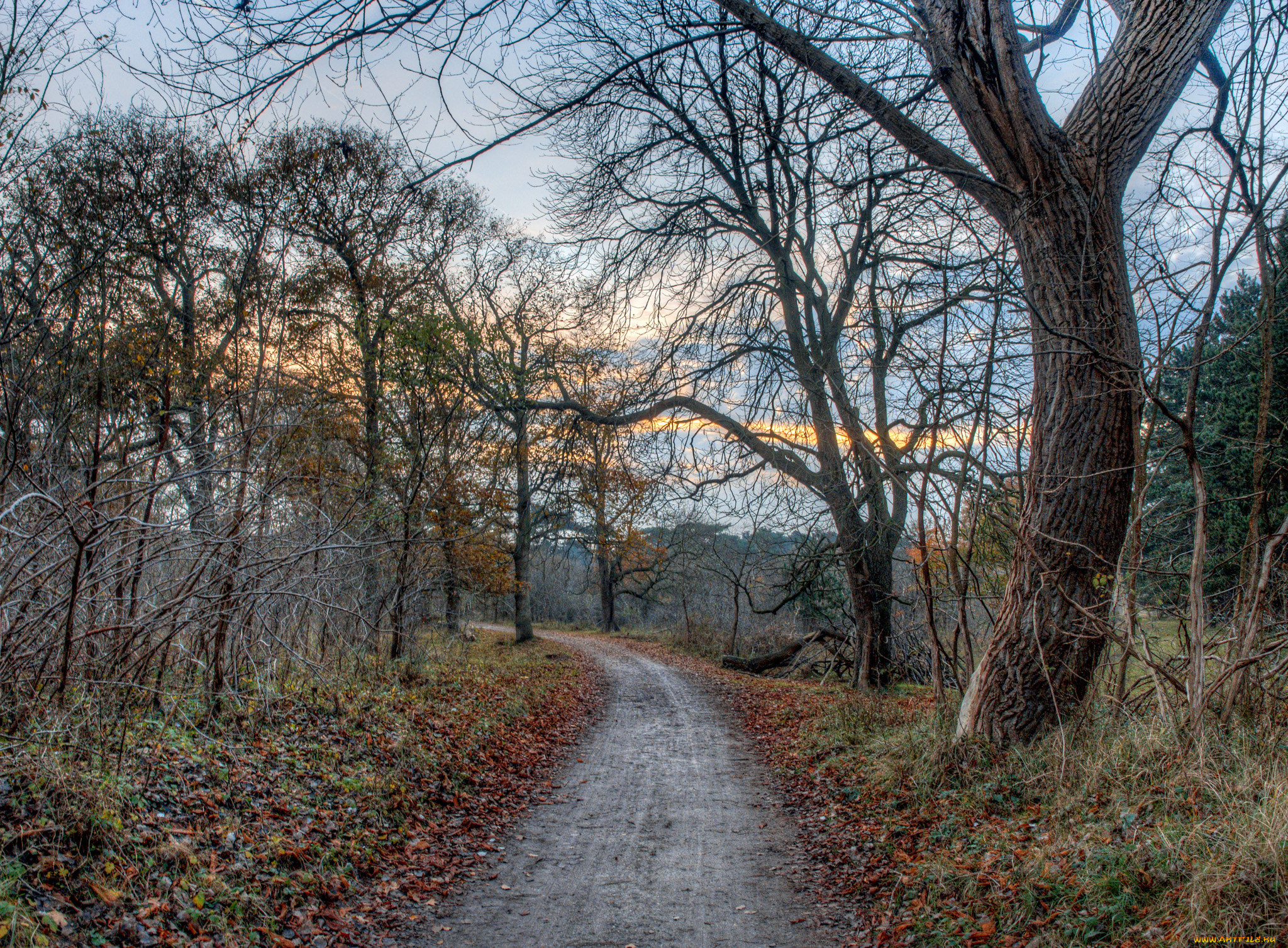 природа, дороги, простор