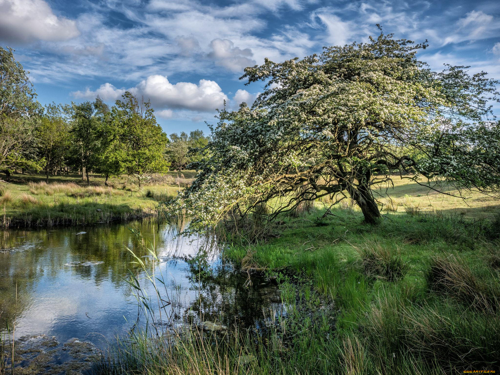 природа, реки, озера, простор