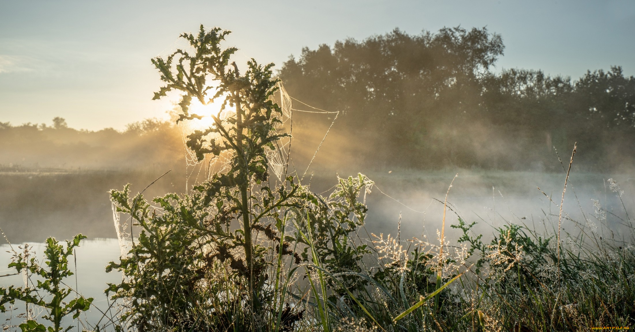 природа, реки, озера, простор