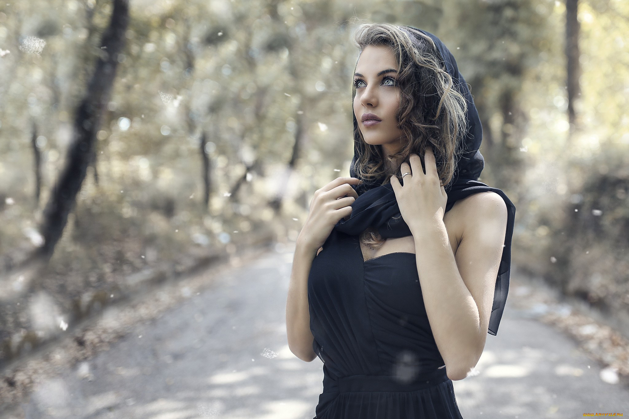 девушка, девушки, alessandro, di, cicco, модель