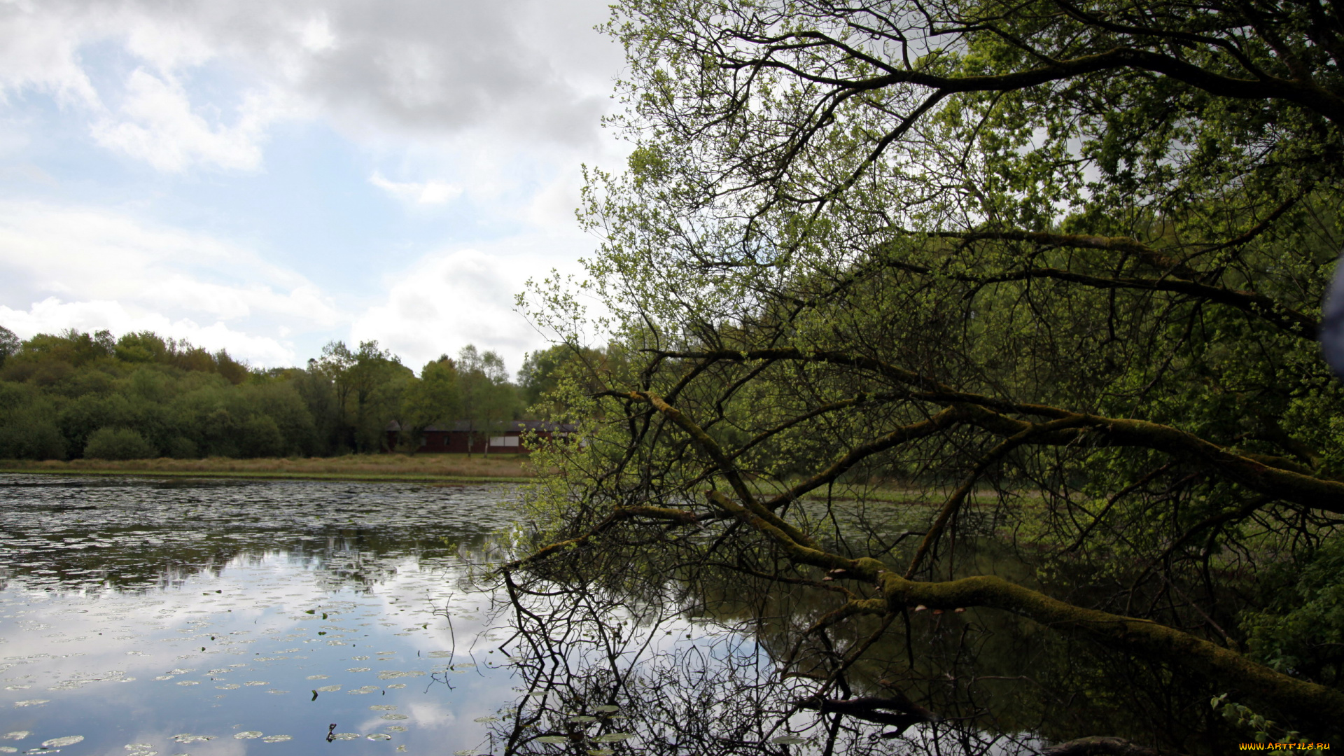 бретань, франция, природа, реки, озера