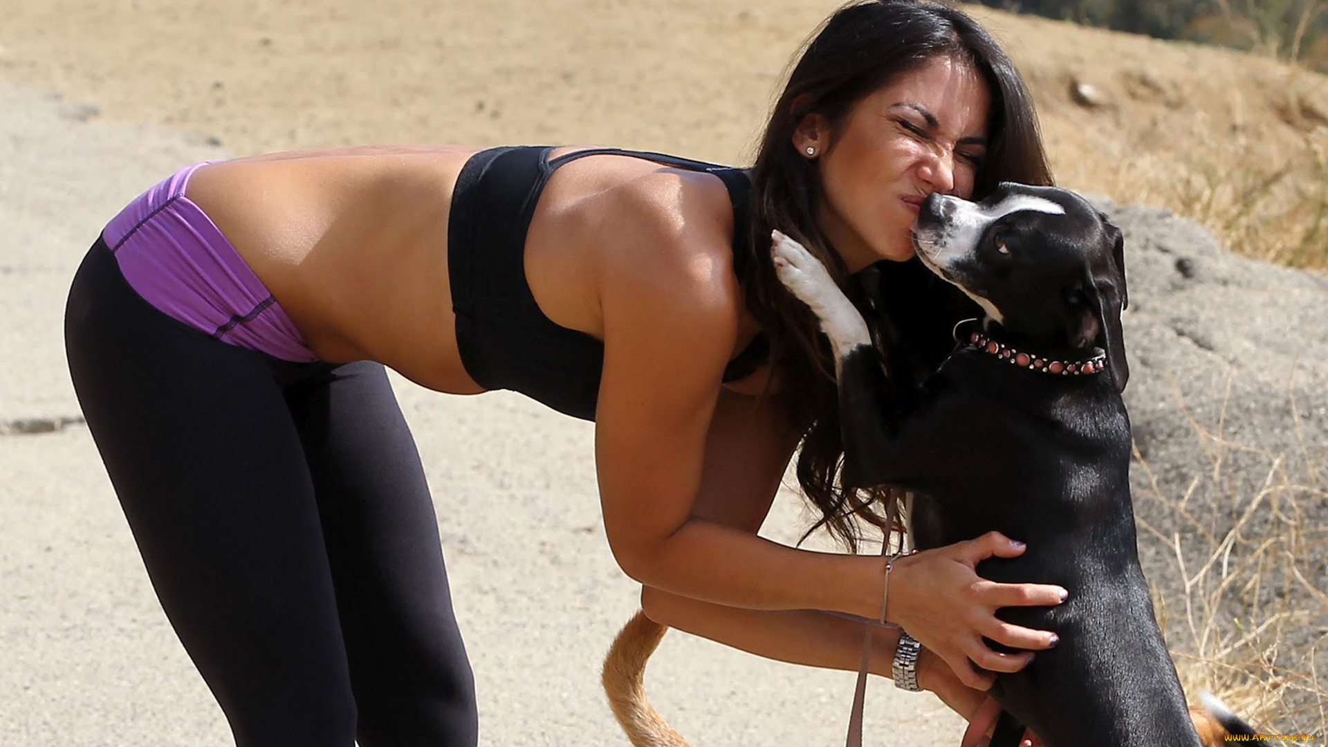 leilani, dowding, девушки, leilani, dowding, собаки, девушка, модель, шатенка, красотка, красавица, стройная, сексуальная, поза, взгляд, причёска, макияж, флирт