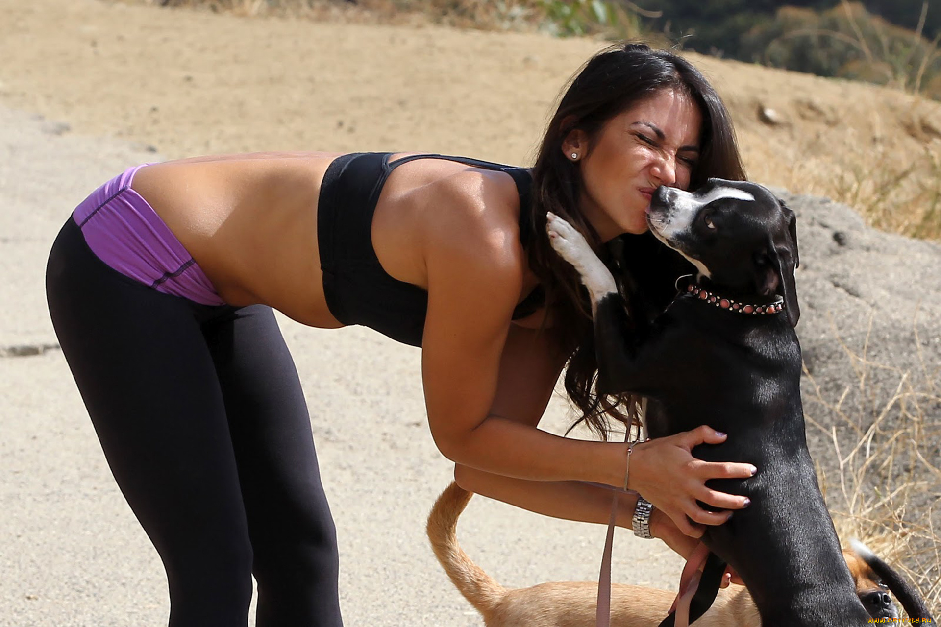 leilani, dowding, девушки, leilani, dowding, собаки, девушка, модель, шатенка, красотка, красавица, стройная, сексуальная, поза, взгляд, причёска, макияж, флирт