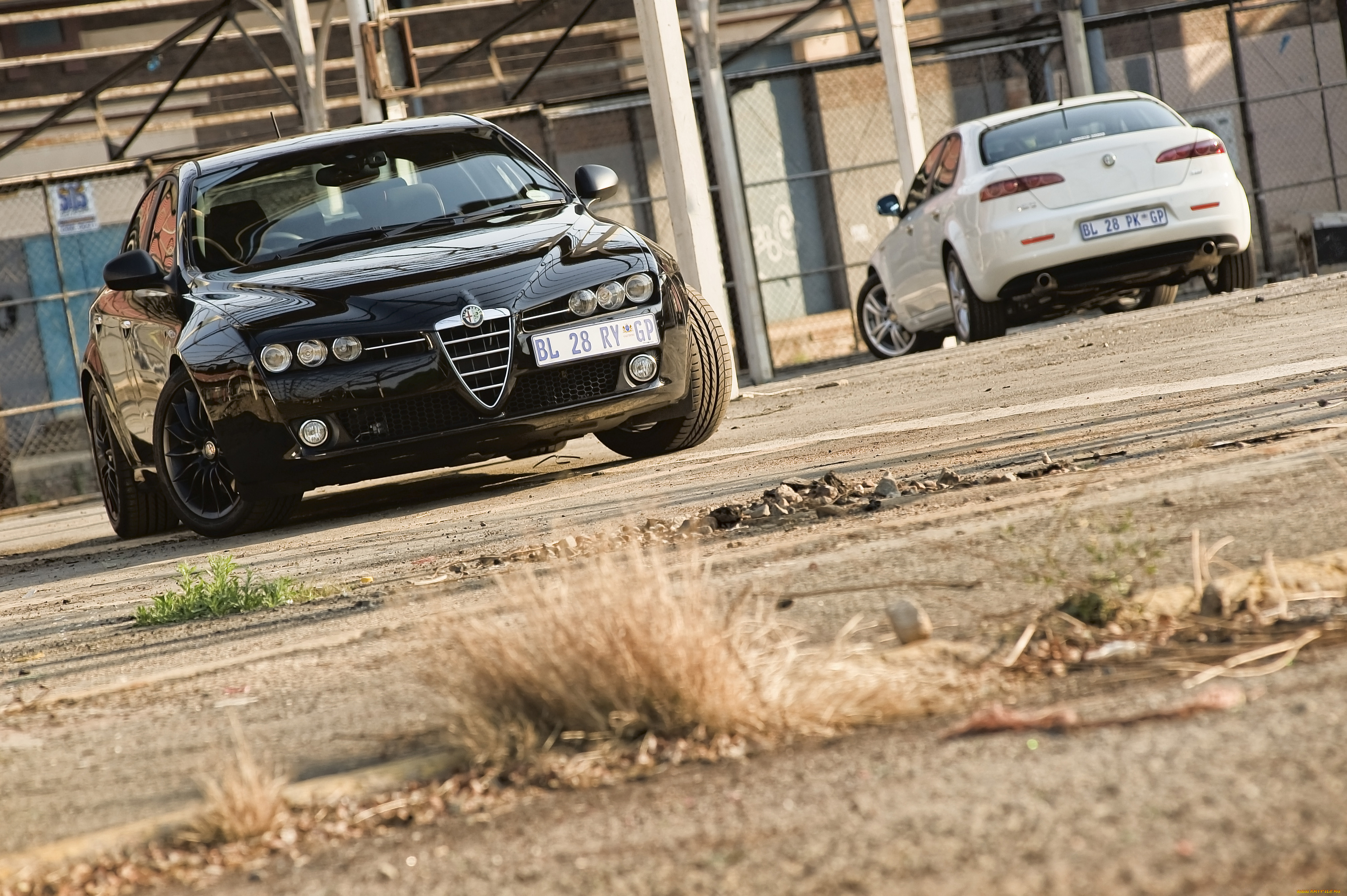 автомобили, alfa, romeo, alfa, romeo