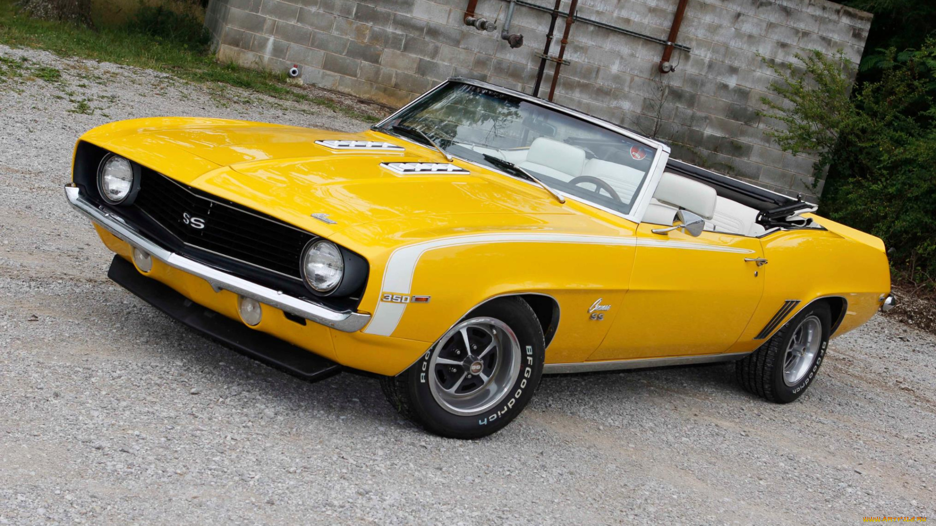 автомобили, camaro