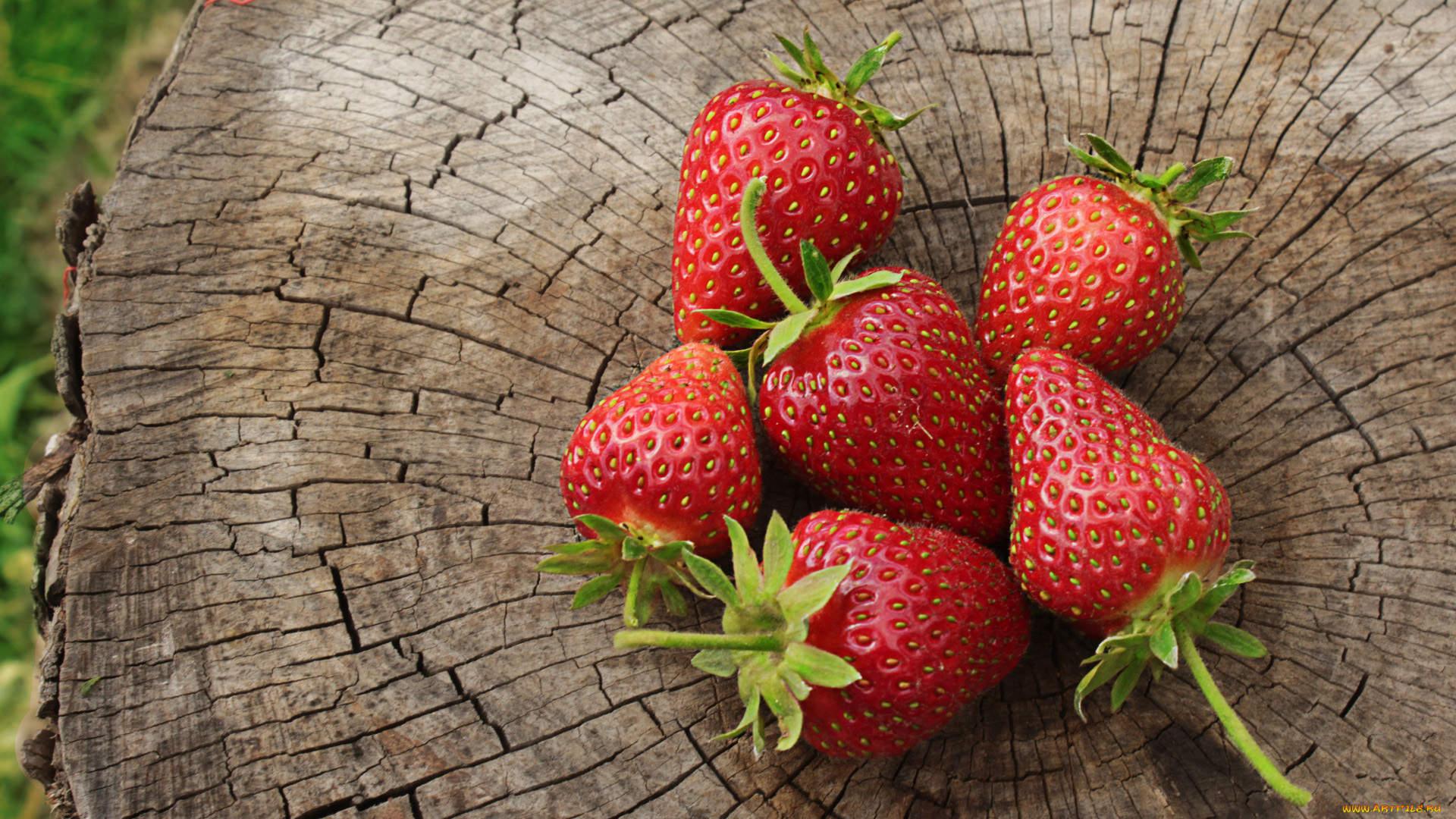 еда, клубника, , земляника, пень, ягоды, спелые