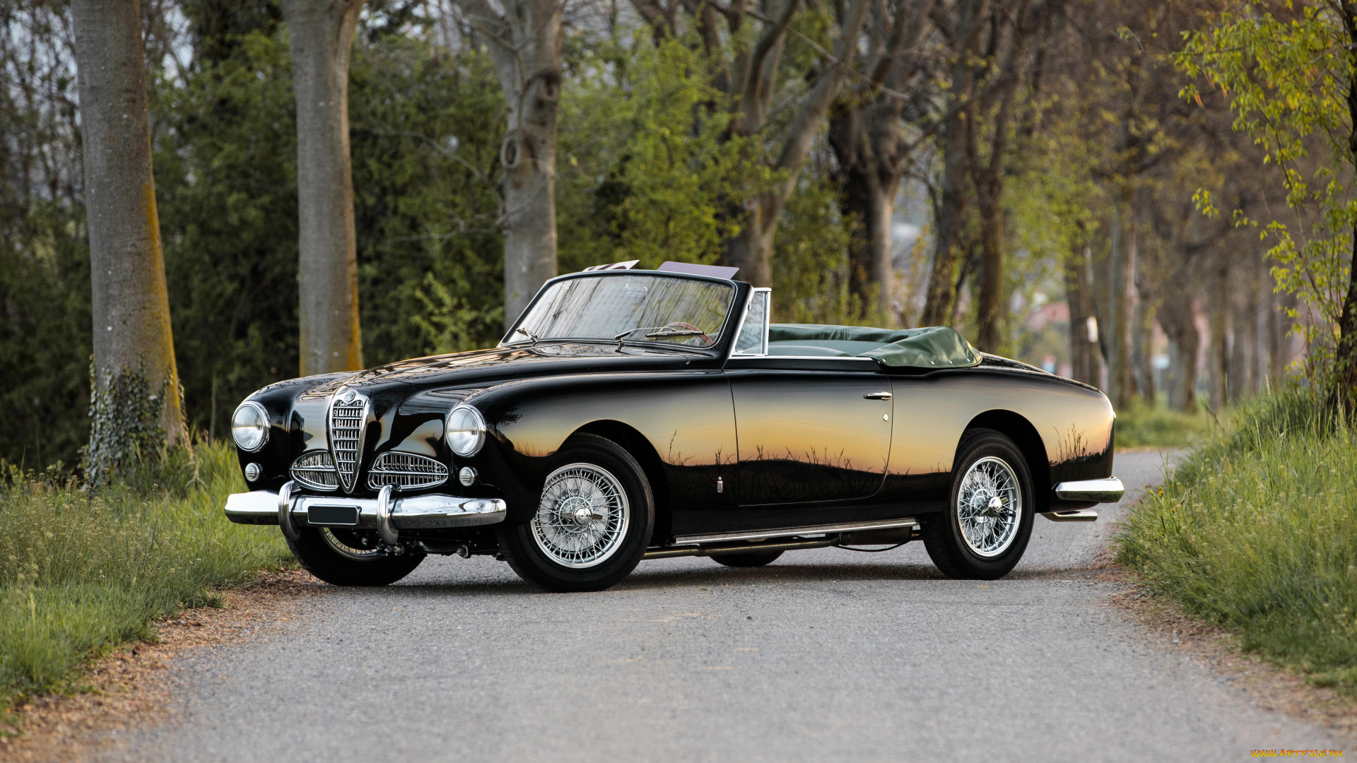 автомобили, alfa, romeo, alfa-romeo