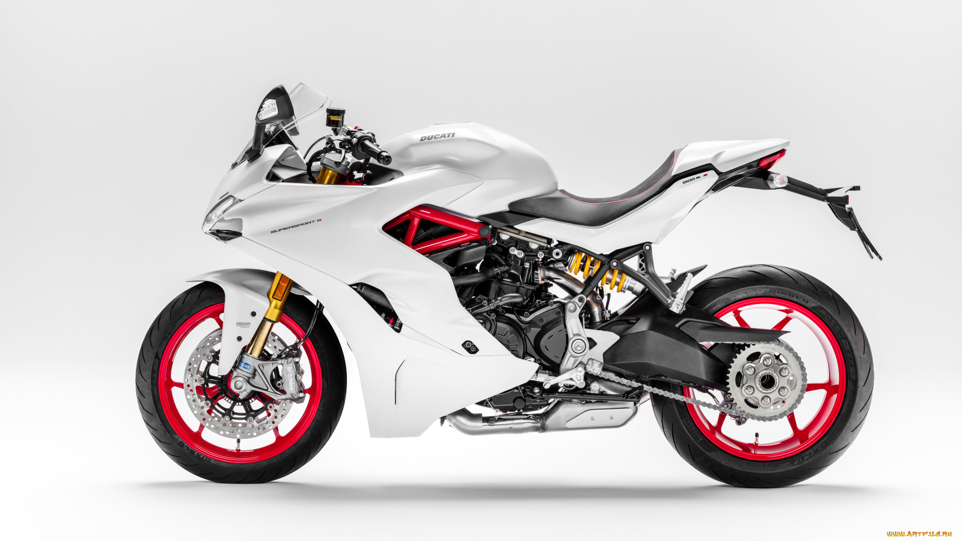 мотоциклы, ducati