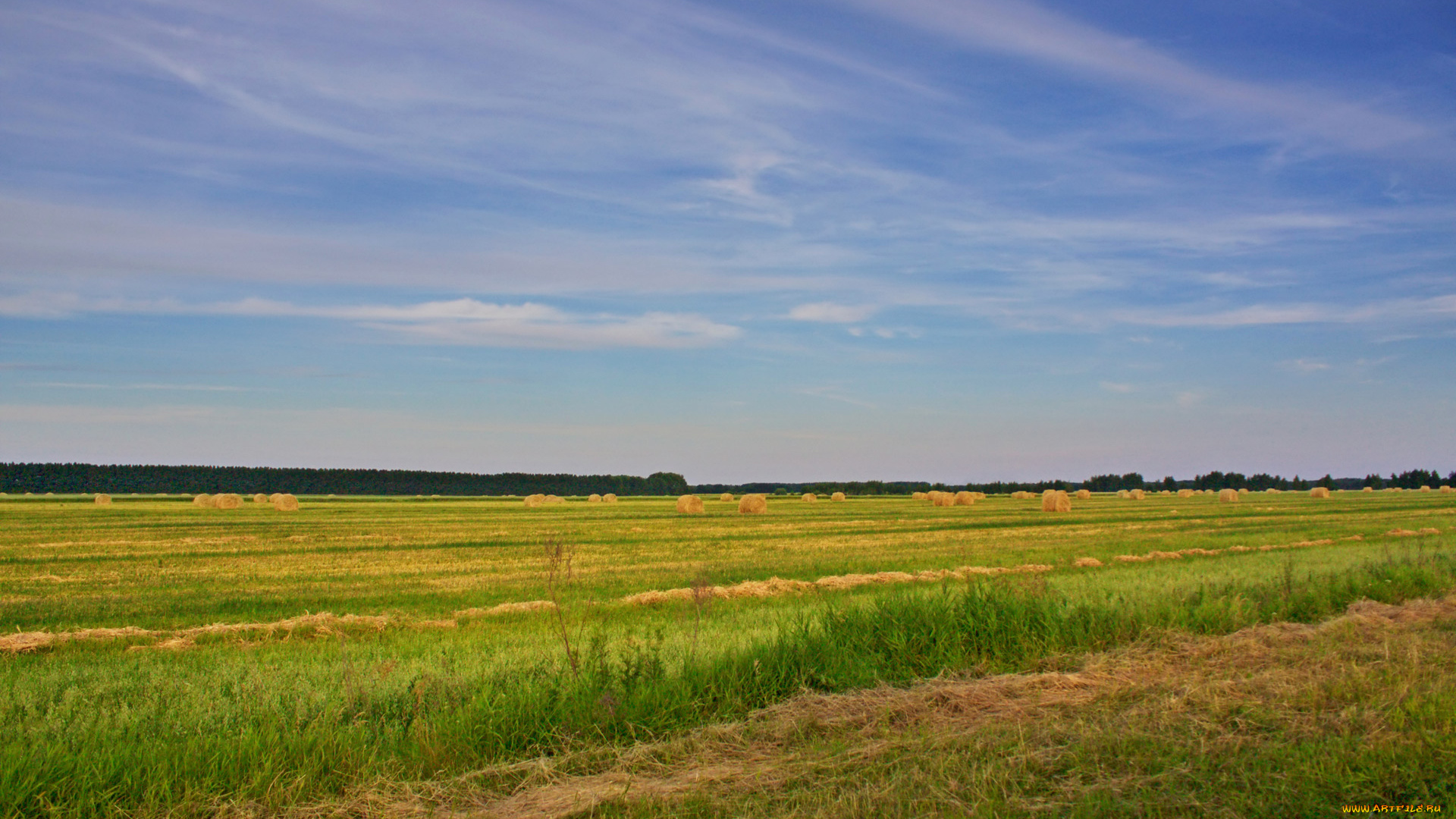 природа, поля, поле, небо