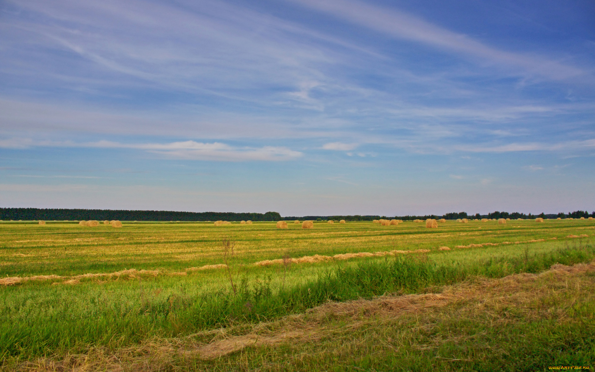 природа, поля, поле, небо