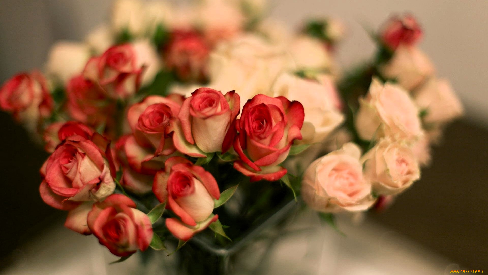 цветы, розы, букет