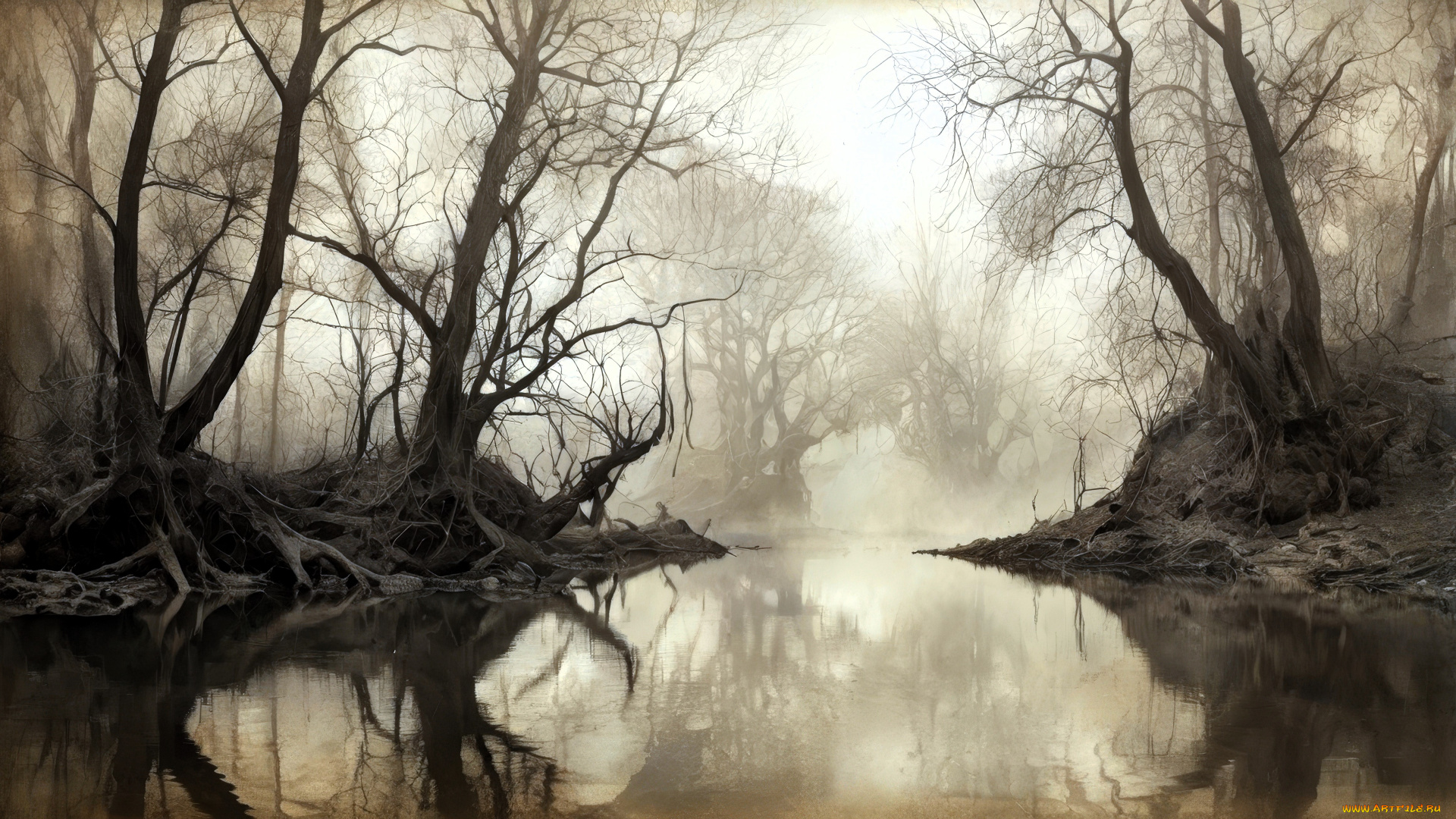 природа, реки, озера, лес, река, корни, туман