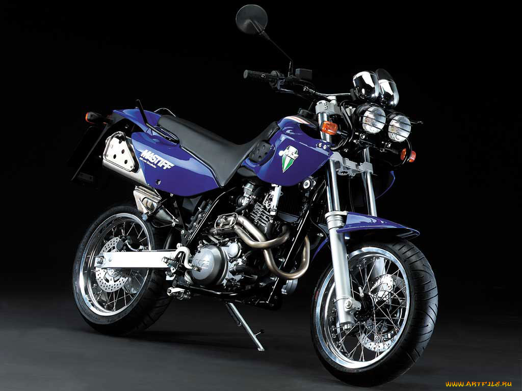 мотоциклы, mz
