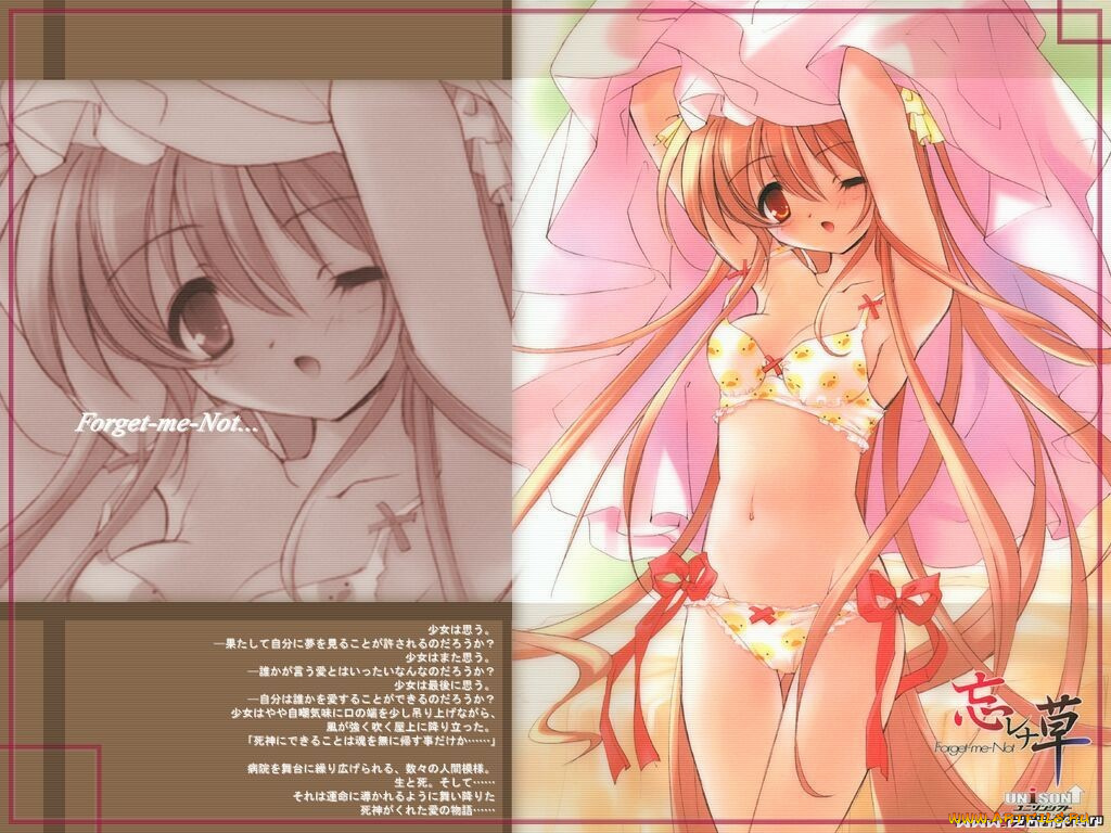 аниме, forget, me, not